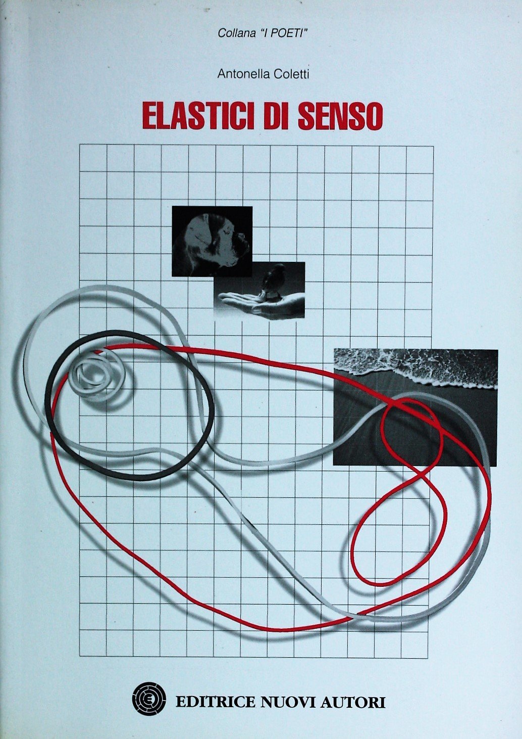 Elastici di senso (I poeti) Poetry