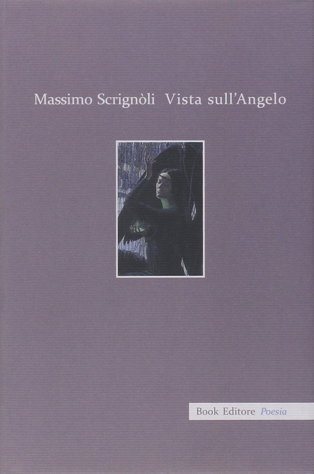 Vista sull'angelo. Racconto in versi book