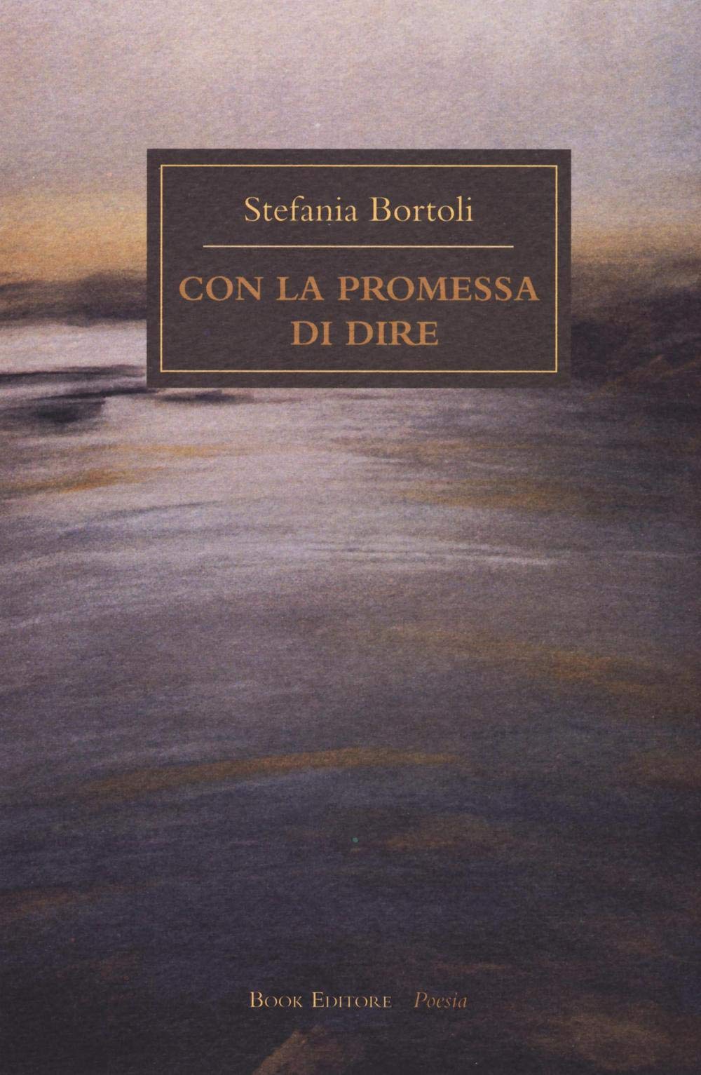 Con la promessa di dire book