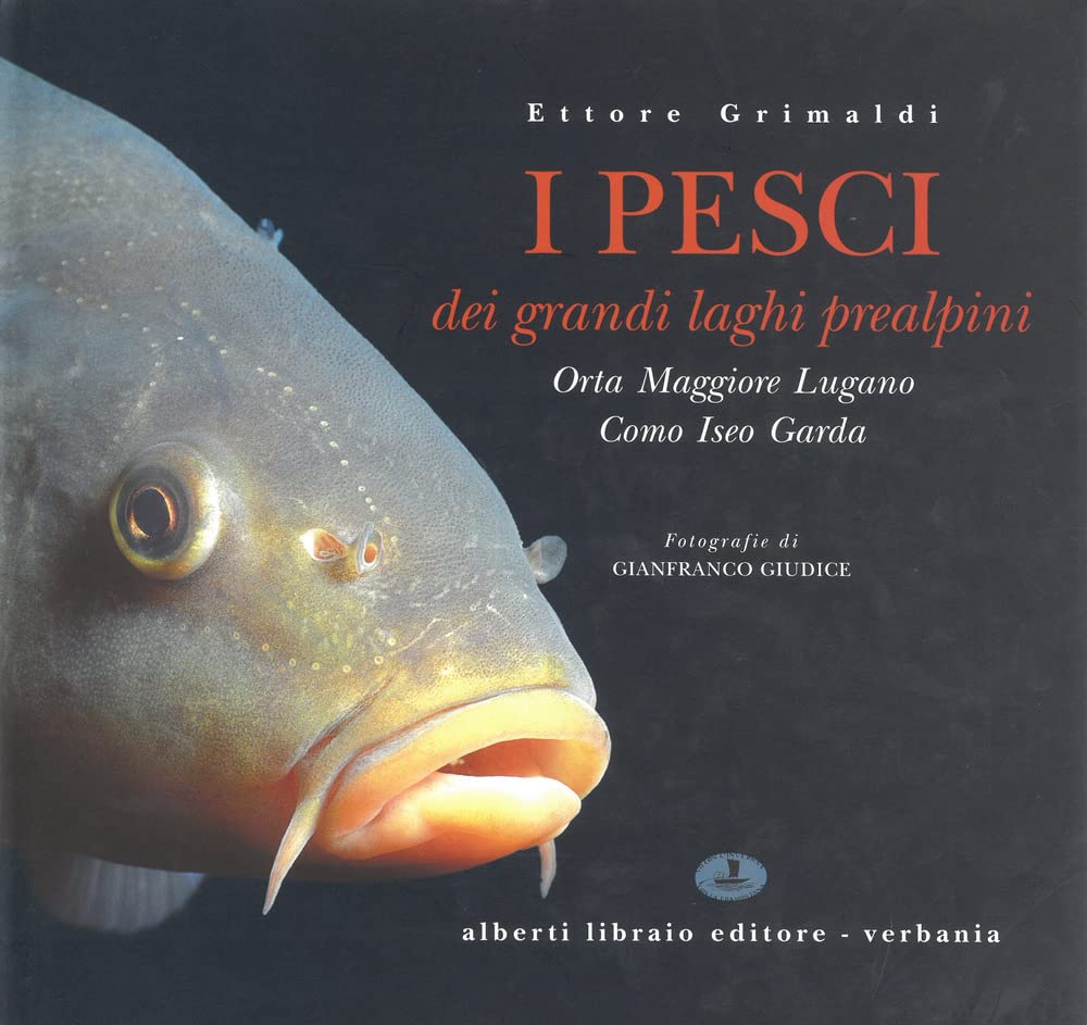 I pesci dei laghi prealpini: Lago Maggiore, Orta, Lugano, Como, Iseo, Garda book