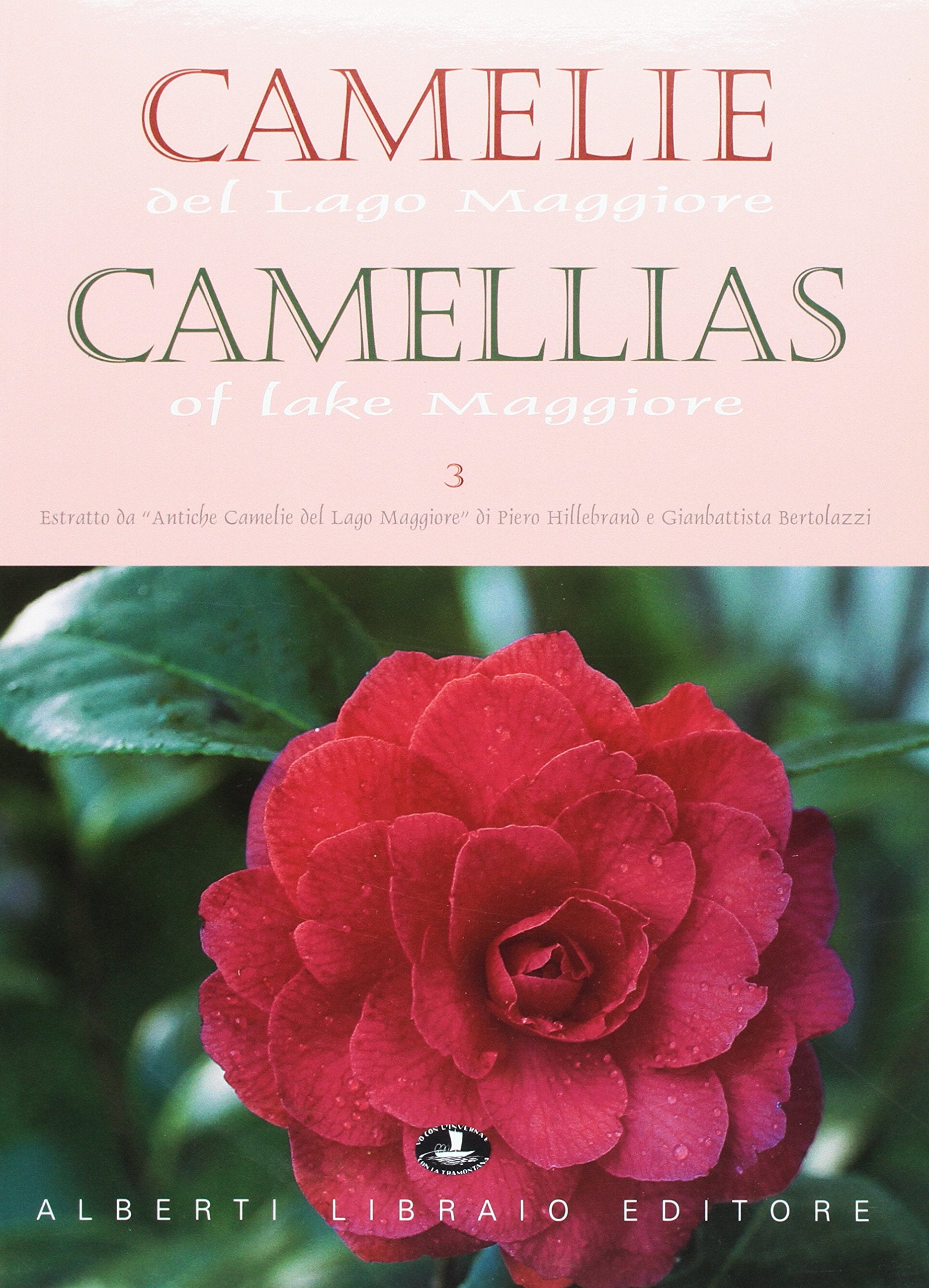 Hillebrand, P: Camelie del Lago Maggiore. Estratto da «Antic book