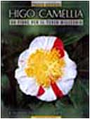 Higo camellia. Un fiore per il terzo millennio. Ediz. italiana e inglese Garden & Plants