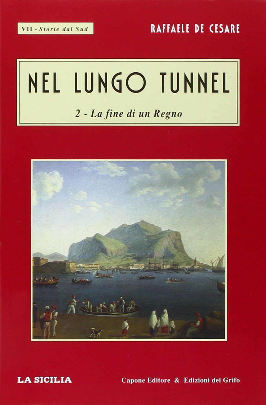 Nel lungo tunnel (Storie dal Sud. La fine di un regno) Books