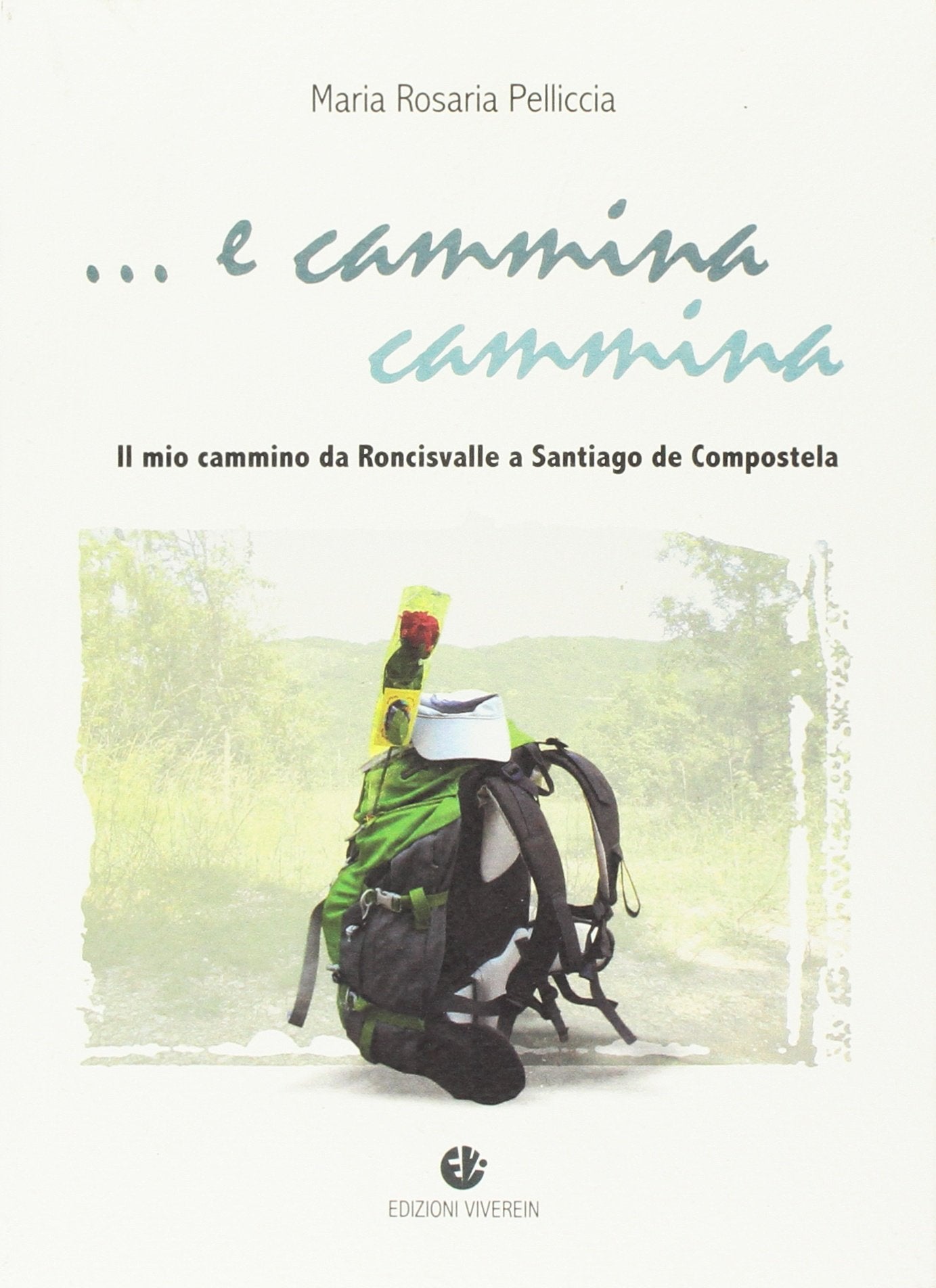 E cammina cammina. Il mio cammino da Roncisvalle a Santiago de Compostela book