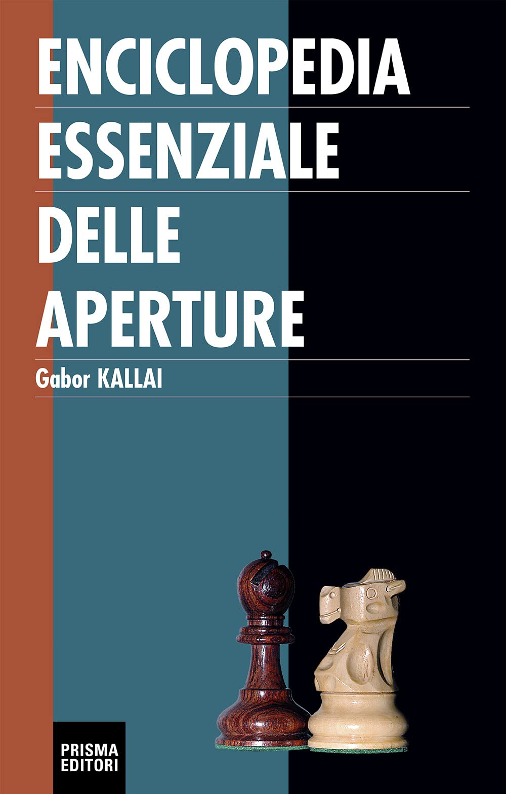 Enciclopedia essenziale delle aperture book