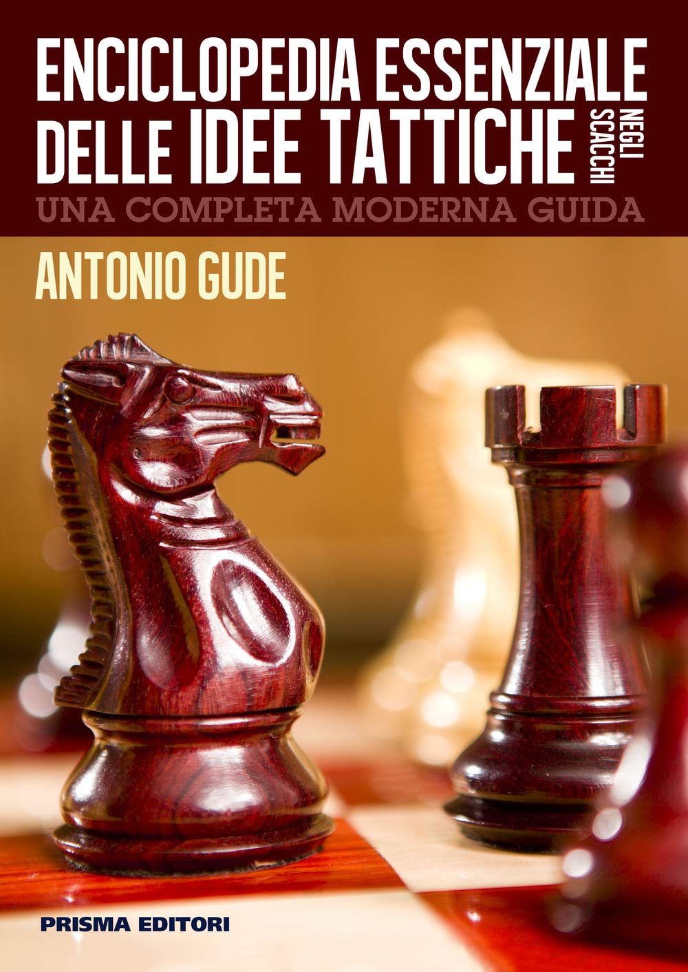 Enciclopedia essenziale delle idee tattiche negli scacchi book