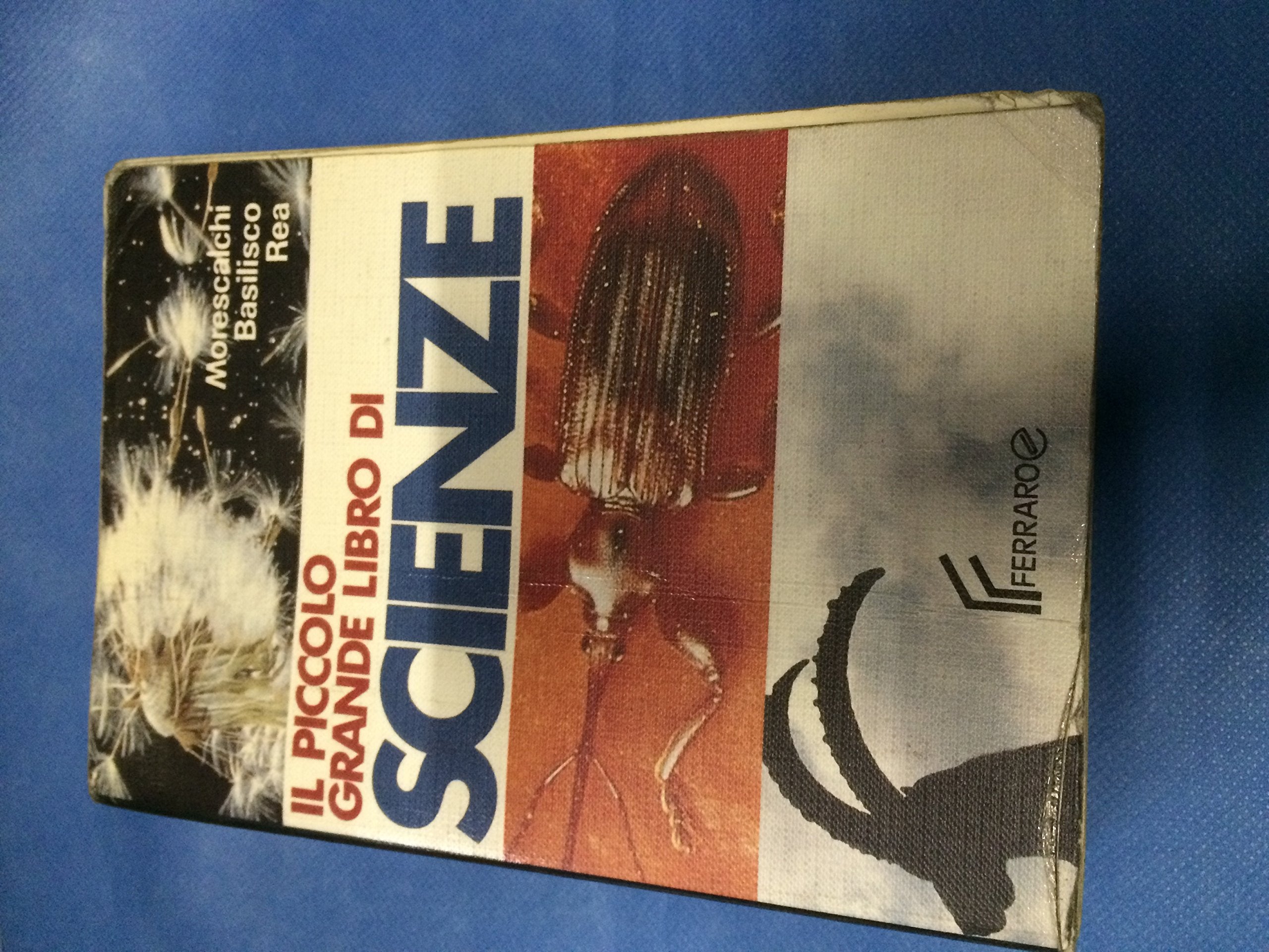 Il piccolo grande libro di scienze. Per la Scuola media book
