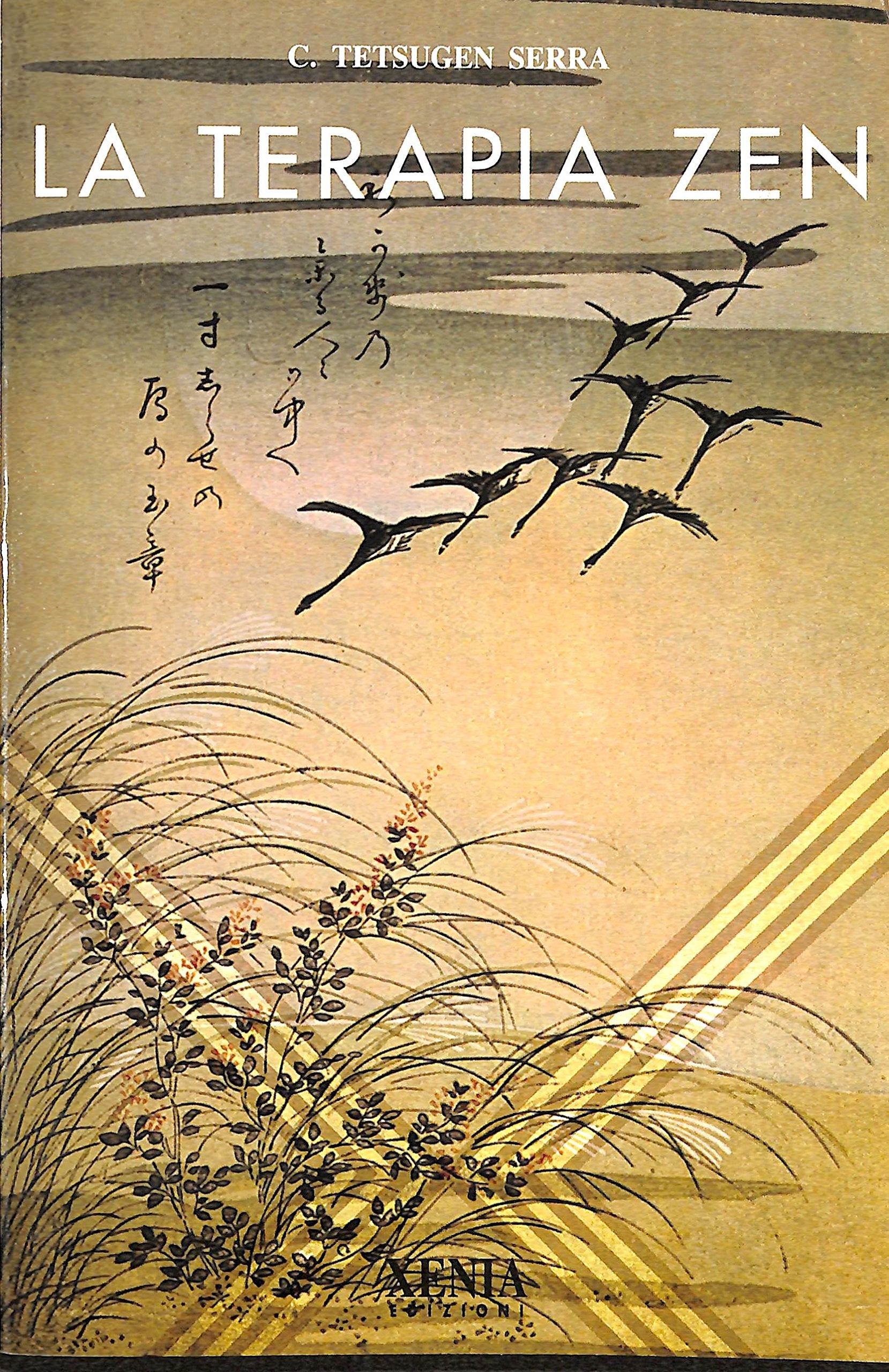 La terapia zen book