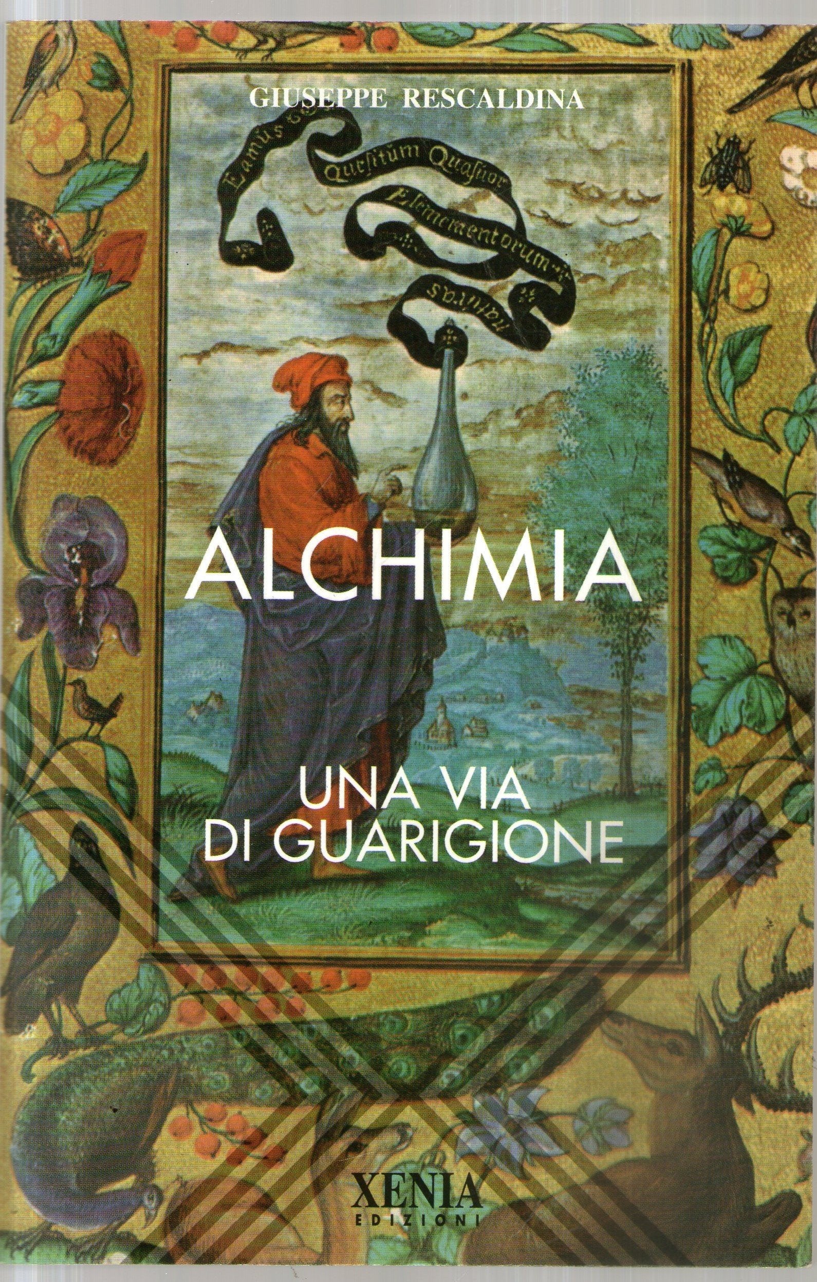Alchimia. Una via di guarigione book