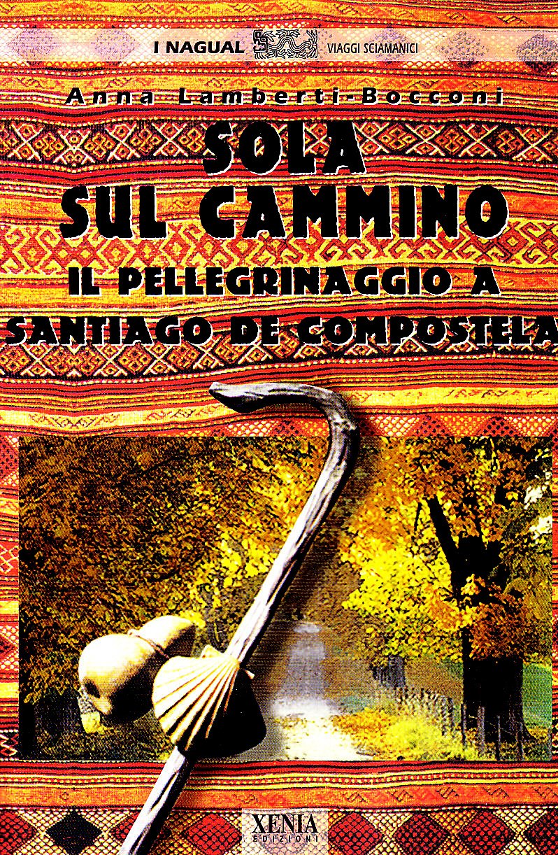 Sola sul cammino. Il pellegrinaggio a Santiago de Compostela book
