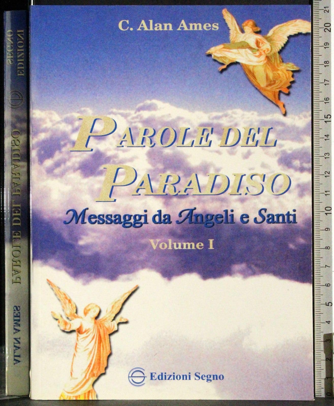 Parole del paradiso. Messaggi da angeli e santi (Vol. 1) Religion & Esotericism