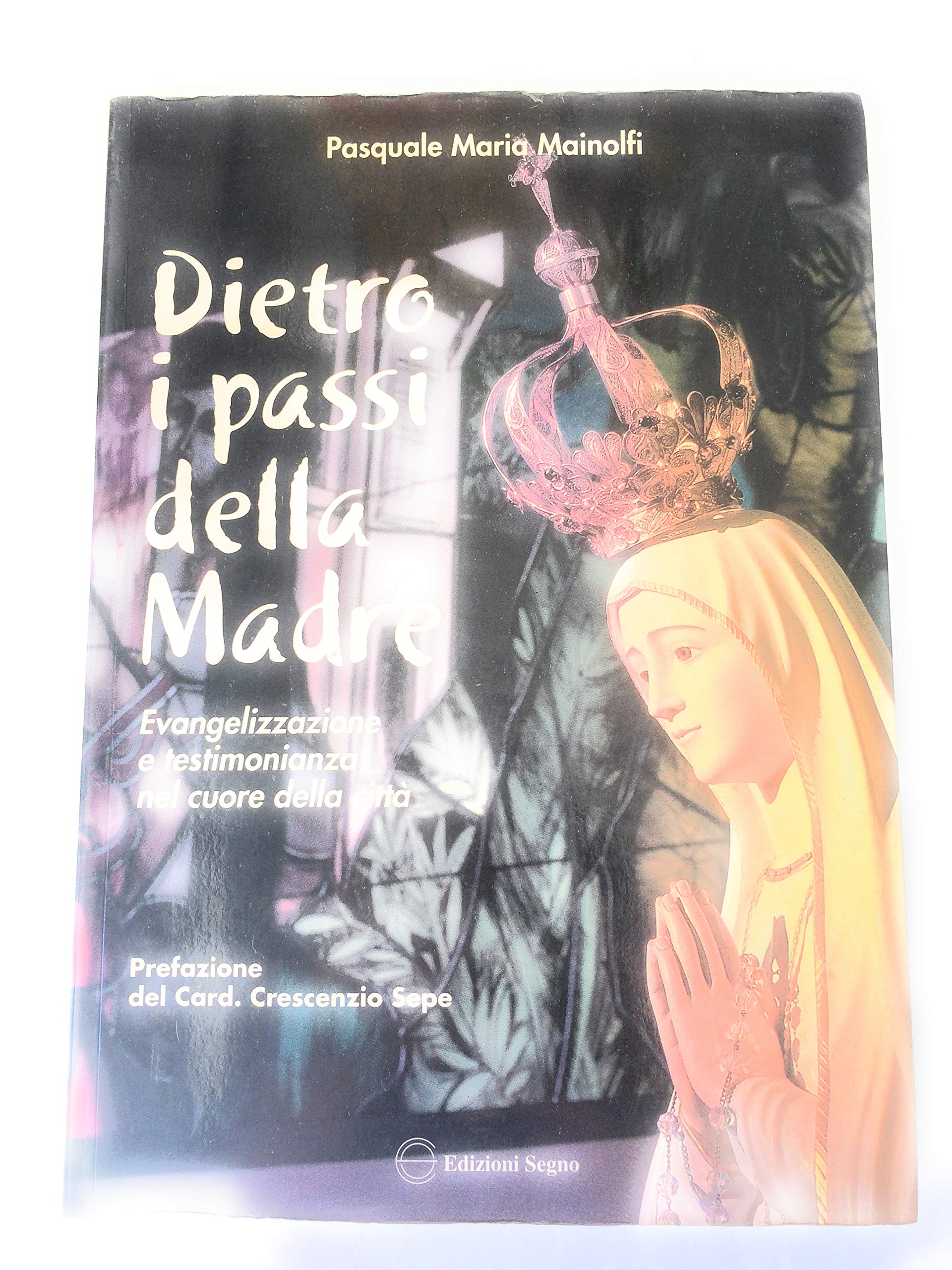 Dietro i passi della madre. Evangelizzazione e testimonianza nel cuore della città book