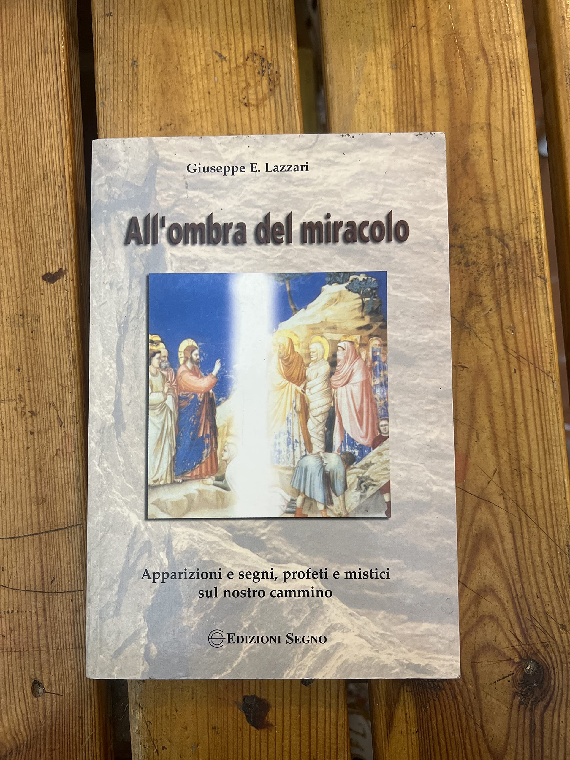 All'ombra del miracolo. Apparizioni e segni, profeti e mistici sul nostro cammino book