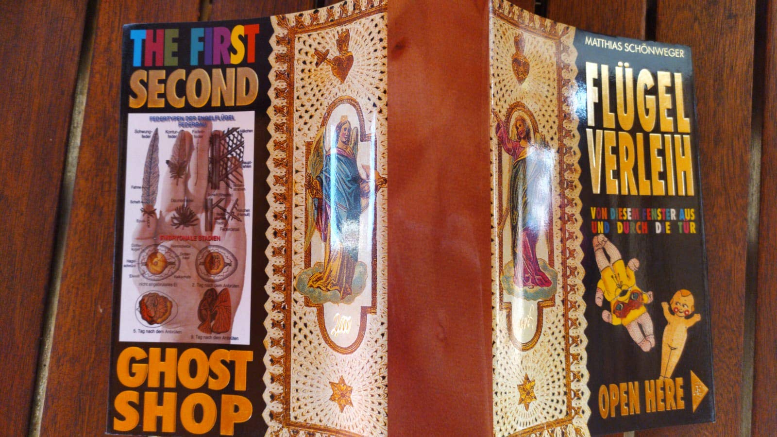 Flügelverleih: Bildband und Wörterbuch Contemporary literature