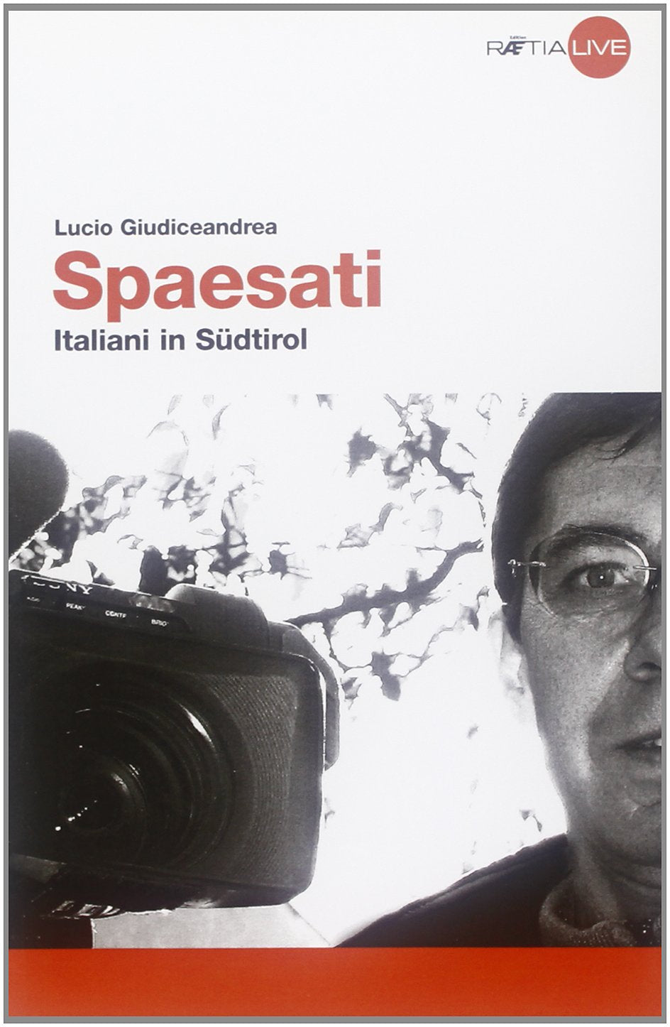 Spaesati. Italiani in Südtirol book