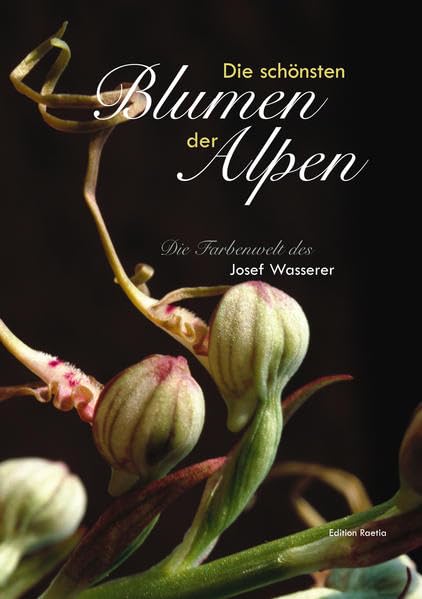 Die schönsten Alpenblumen Photography