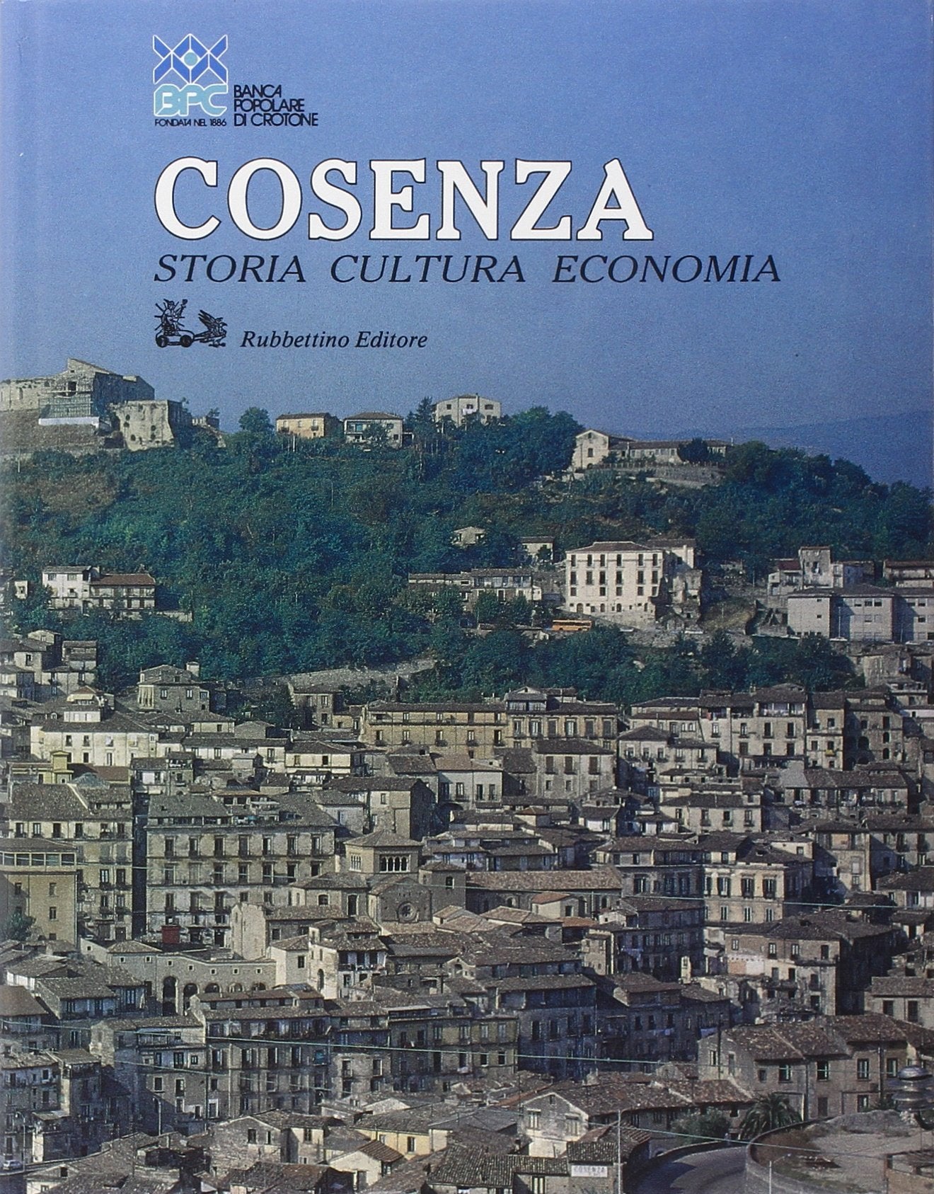 Cosenza. Storia, cultura, economia book