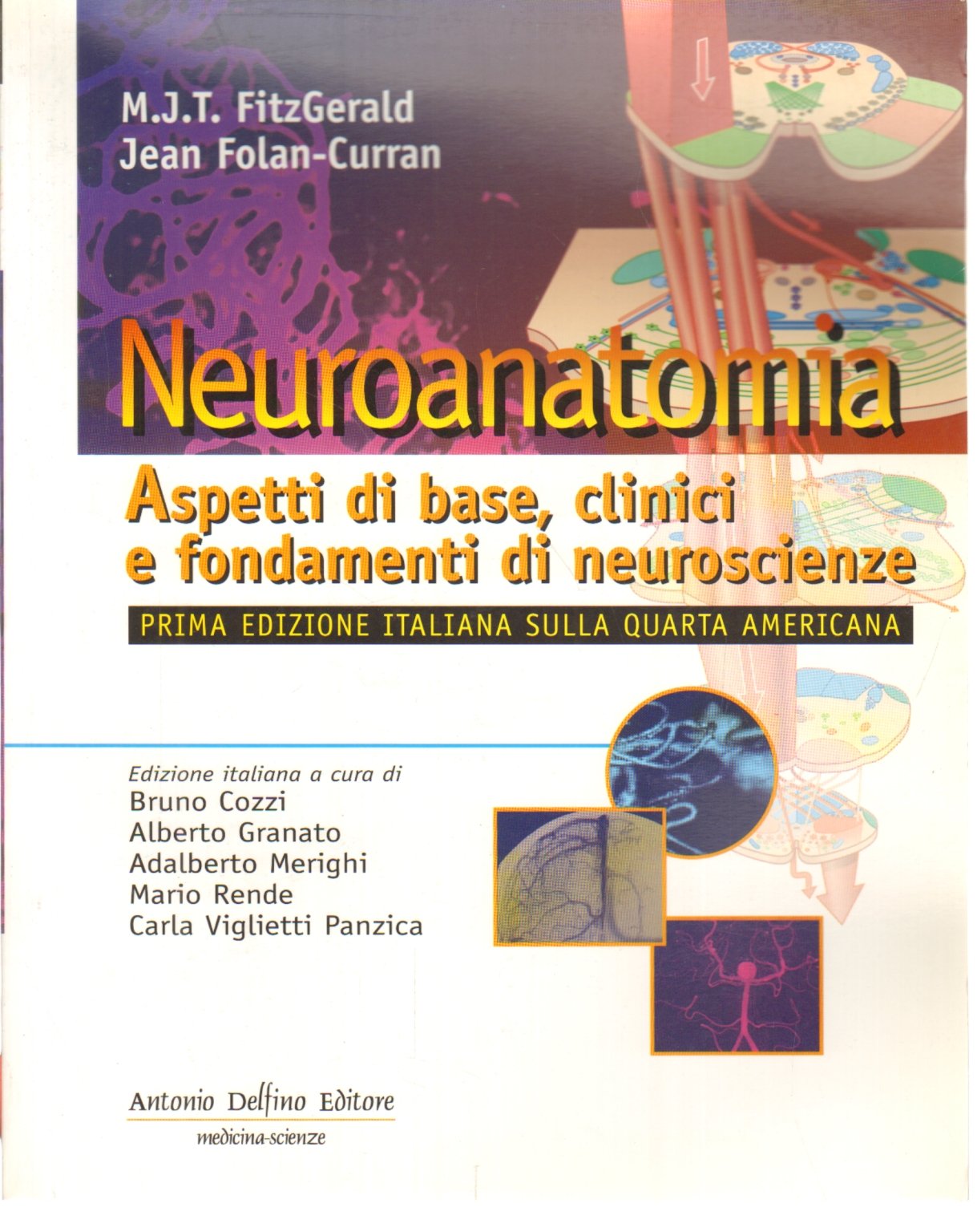 Neuroanatomia. Aspetti di base, clinici e fondamenti di neuroscienze book