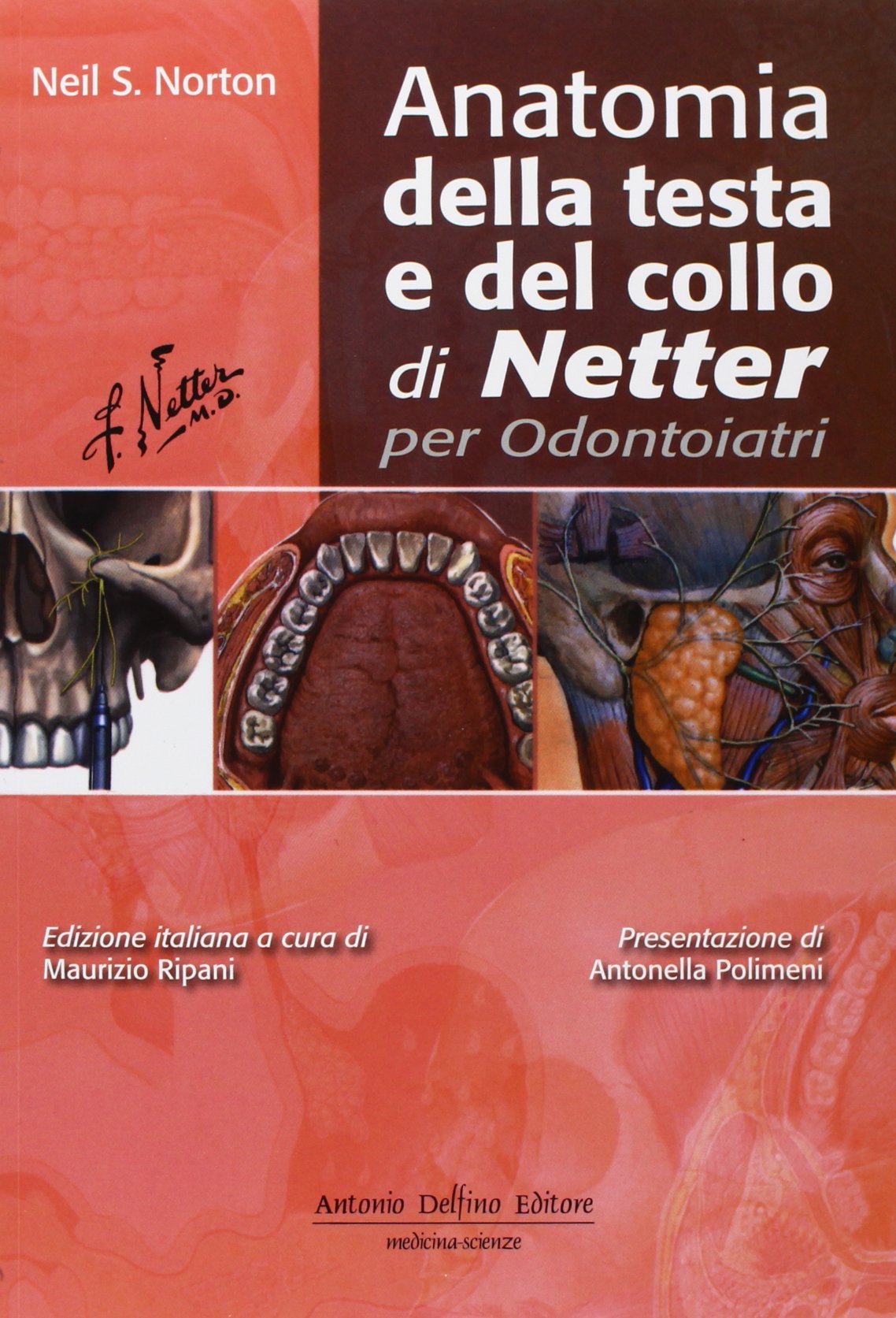 Anatomia della testa e del collo di Netter per odontoiatri book