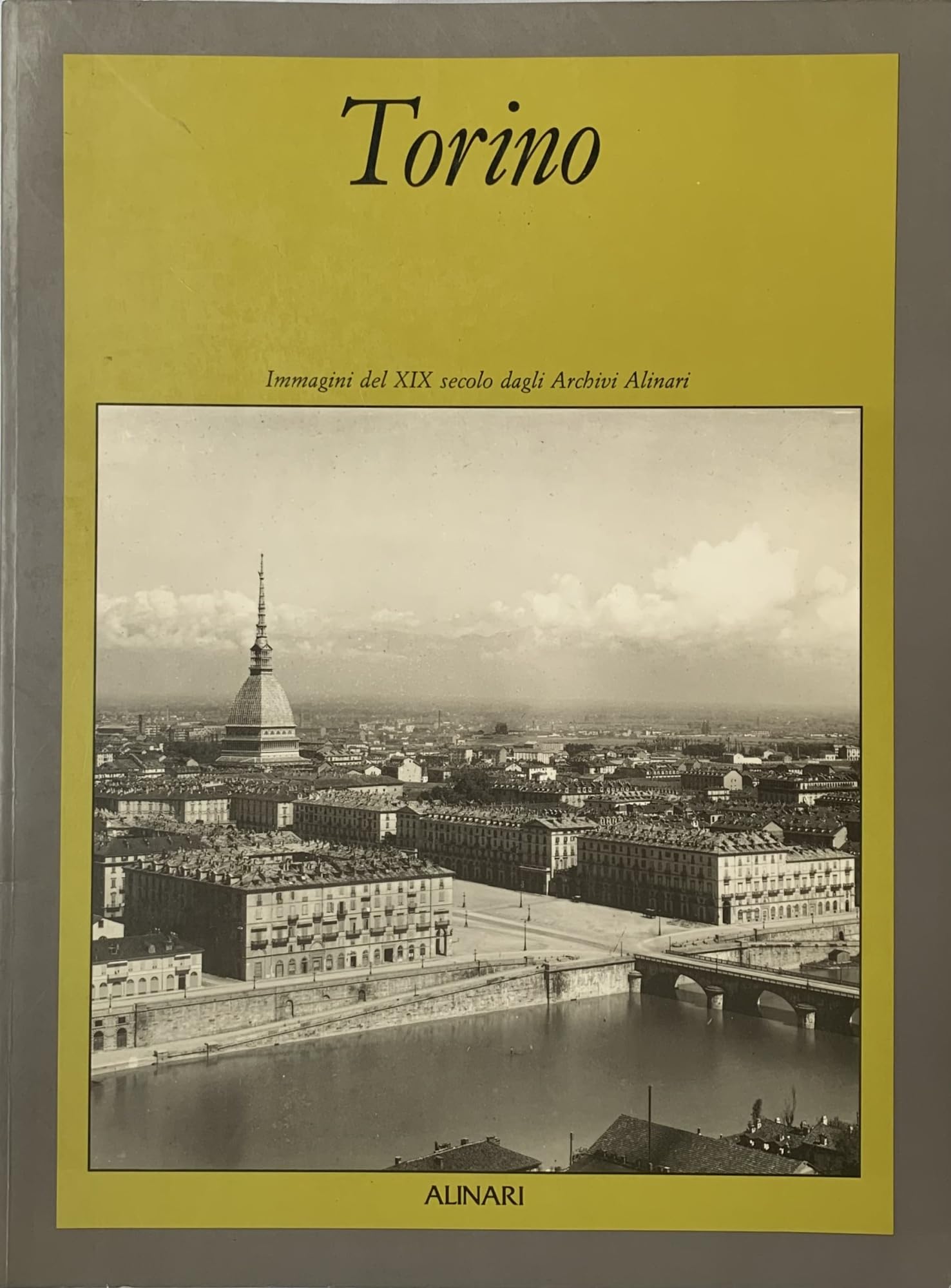 Torino: Immagini Del XIX Secolo Dagli Archivi Alinari (19th Century Pictures Fro the Linari Archives) Travel Books
