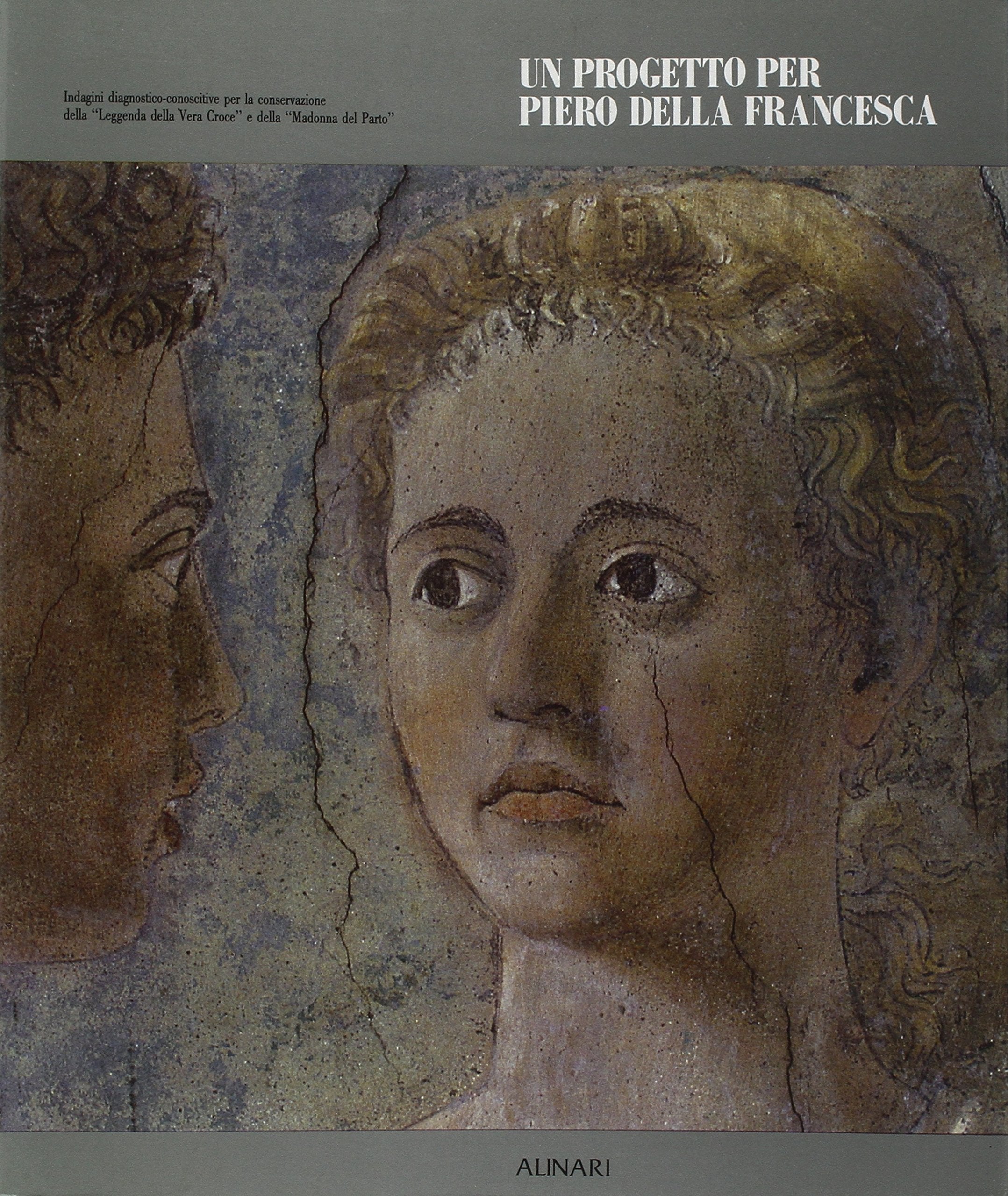 Un progetto per Piero della Francesca. Indagini diagnostico-conoscitive per la conservazione della «Leggenda della vera croce» e della «Madonna del parto». Ediz. illustrata book