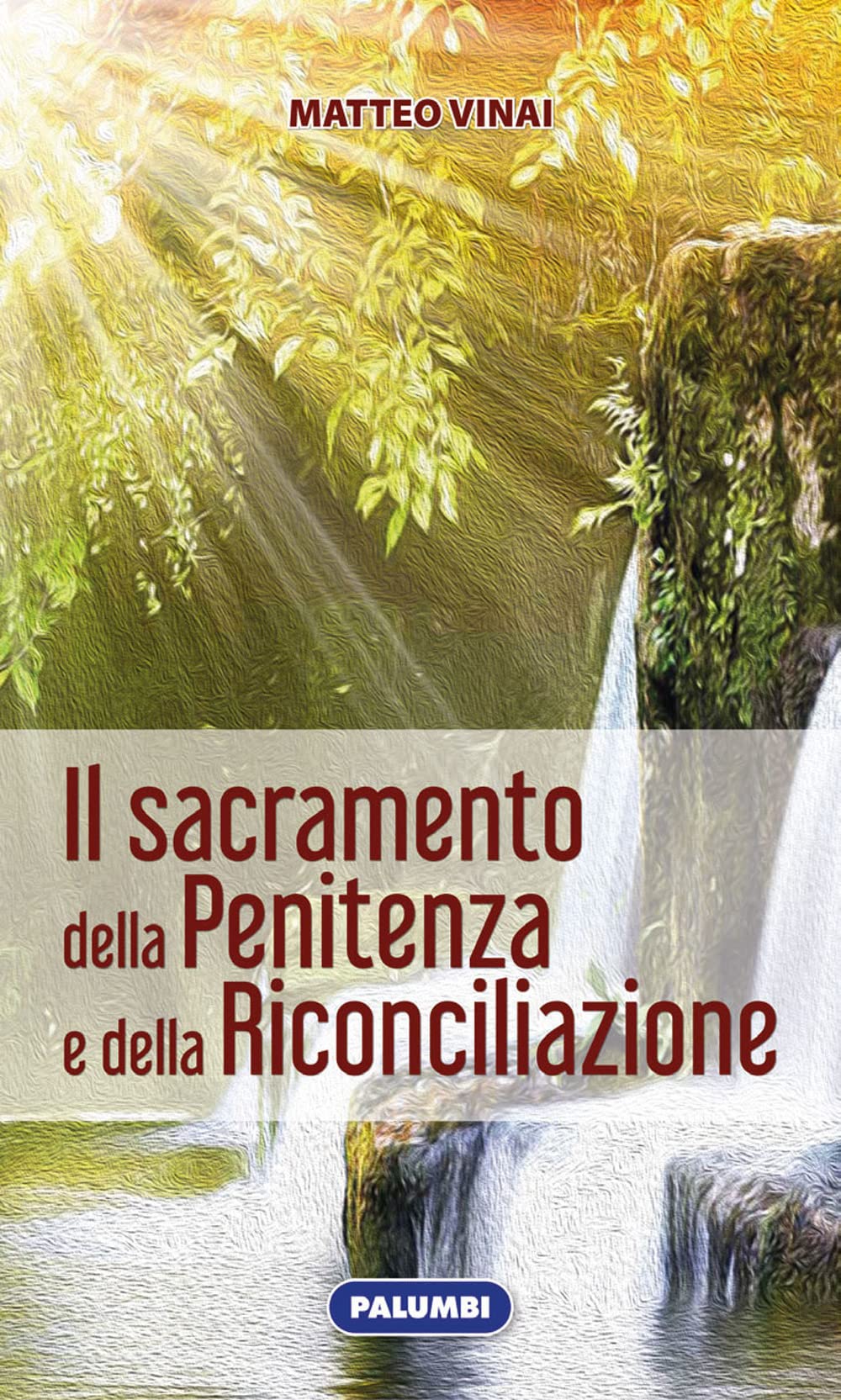 Il Sacramento della penitenza e della riconciliazione book