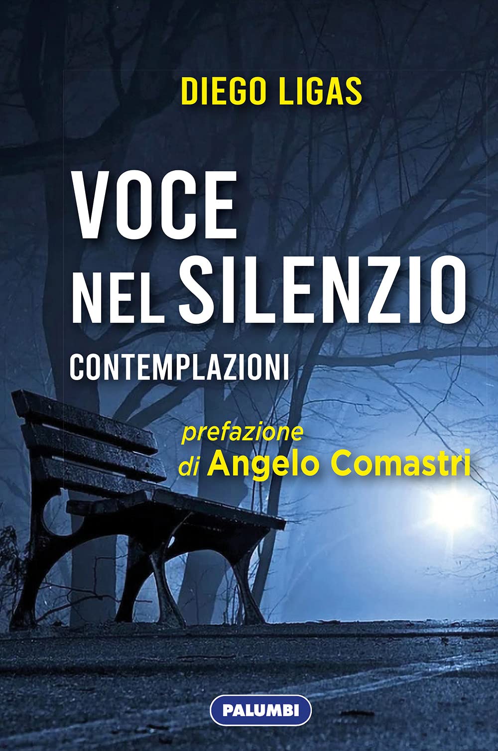 Voce nel silenzio. Contemplazioni book