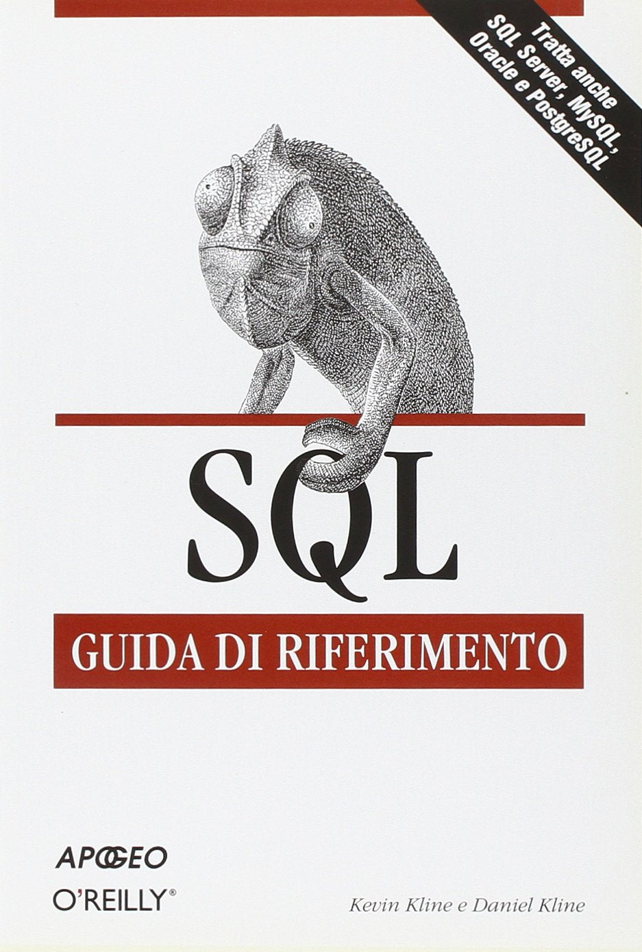 SQL. Guida di riferimento Computer Science Books