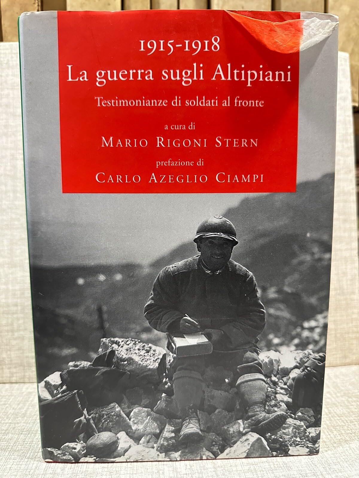 1915-1918. La guerra sugli Altipiani. Testimonianze di soldati al fronte (I narratori delle tavole) Contemporary literature