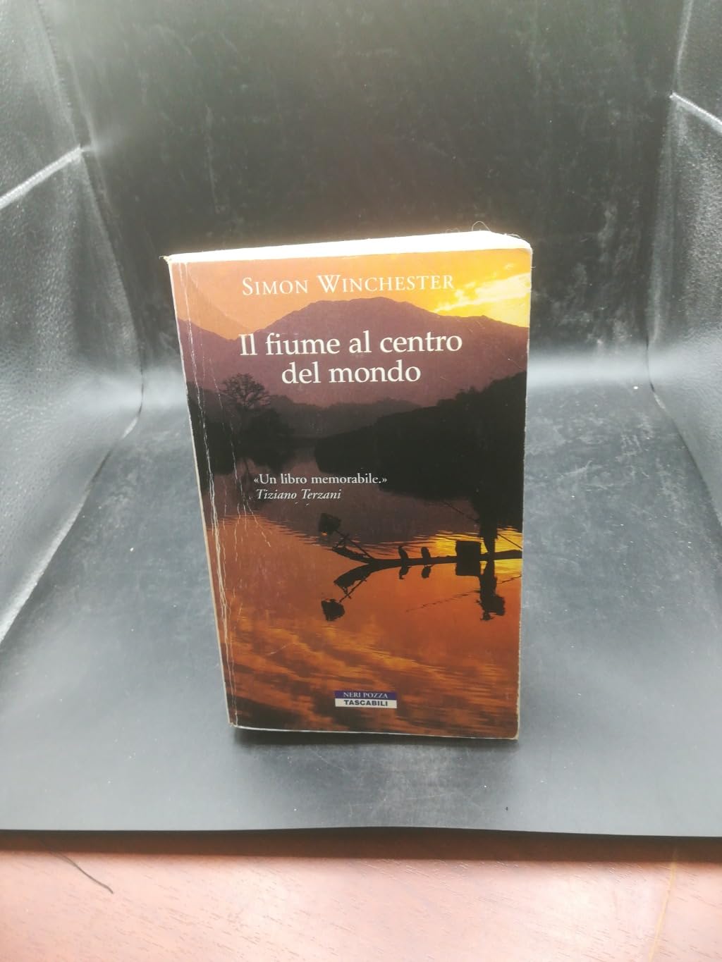 Il fiume al centro del mondo book