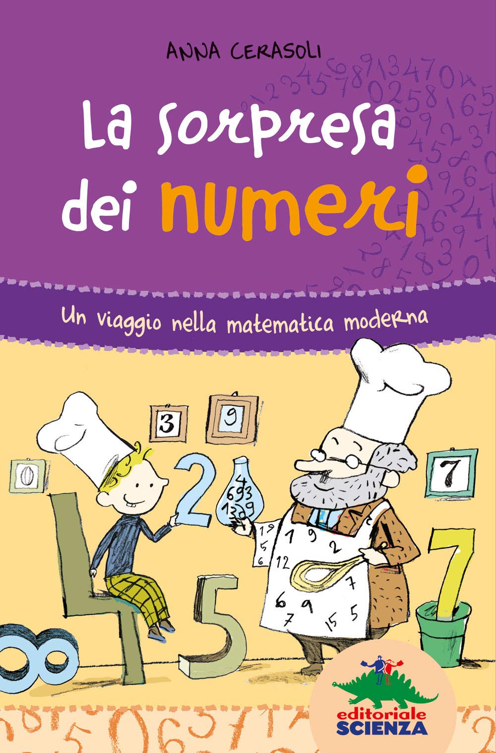 La sorpresa dei numeri. Un viaggio nella matematica simpatica book