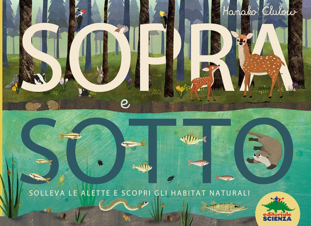 Sopra e sotto. Solleva le alette e scopri gli habitat naturali book