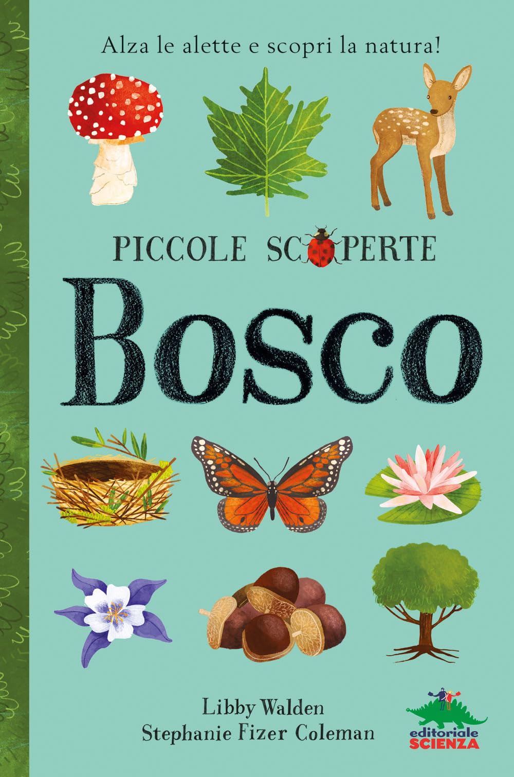 Bosco. Alza le alette e scopri la natura! book