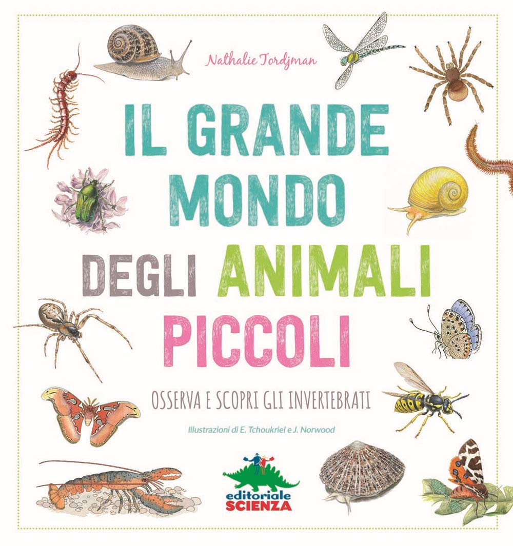 Il grande mondo degli animali piccoli. Osserva e scopri gli invertebrati Children's books