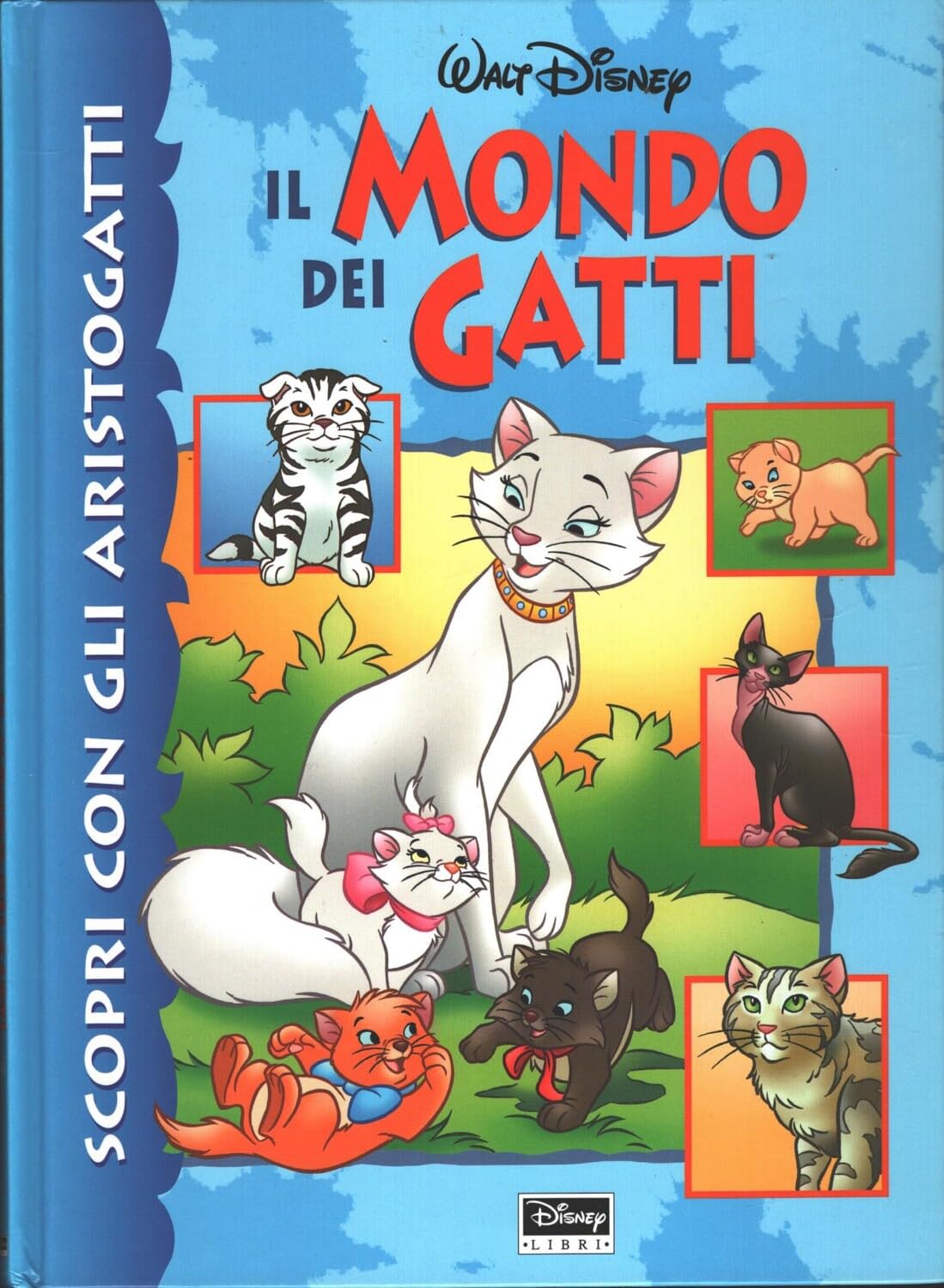 Scopri con gli Aristogatti il mondo dei gatti Children's books