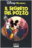 Il segreto del pozzo book