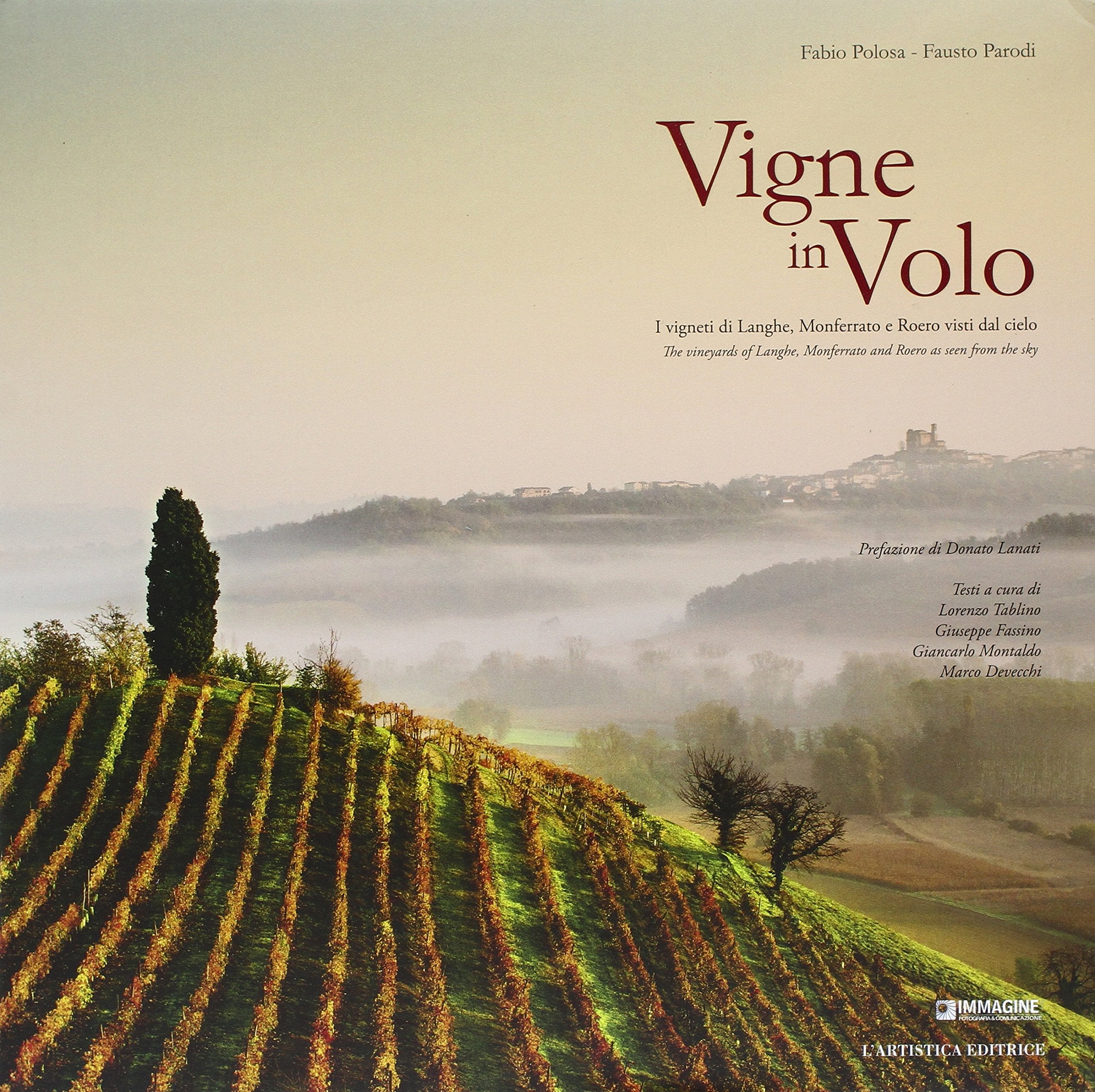 Vigne in volo. I vigneti di Langhe, Monferrato e Roero visti dal cielo. Ediz. bilingue (Imago mundi. Libri fotografici) Travel Books