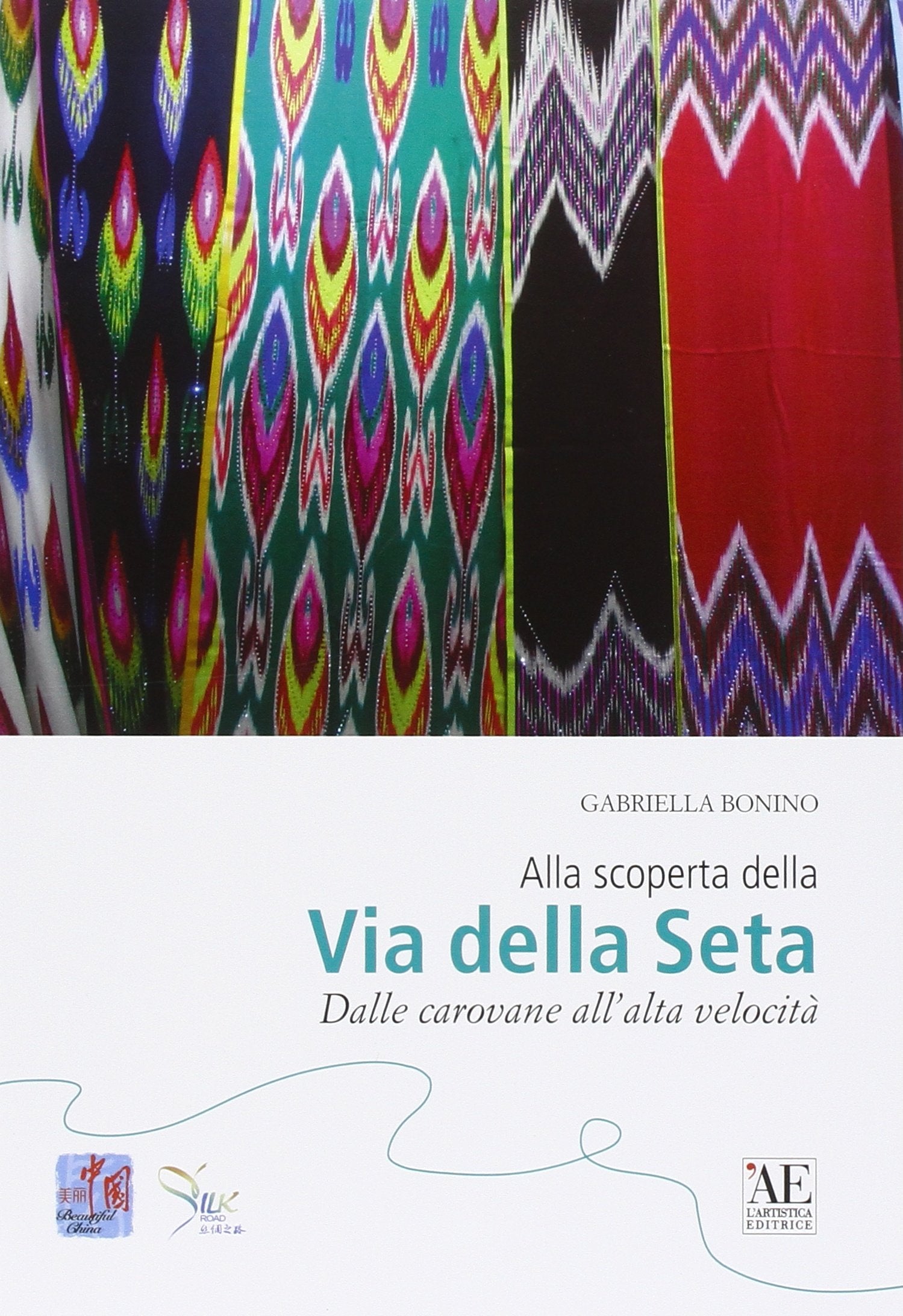 Alla scoperta della via della seta. Dalle carovane all'alta velocità book