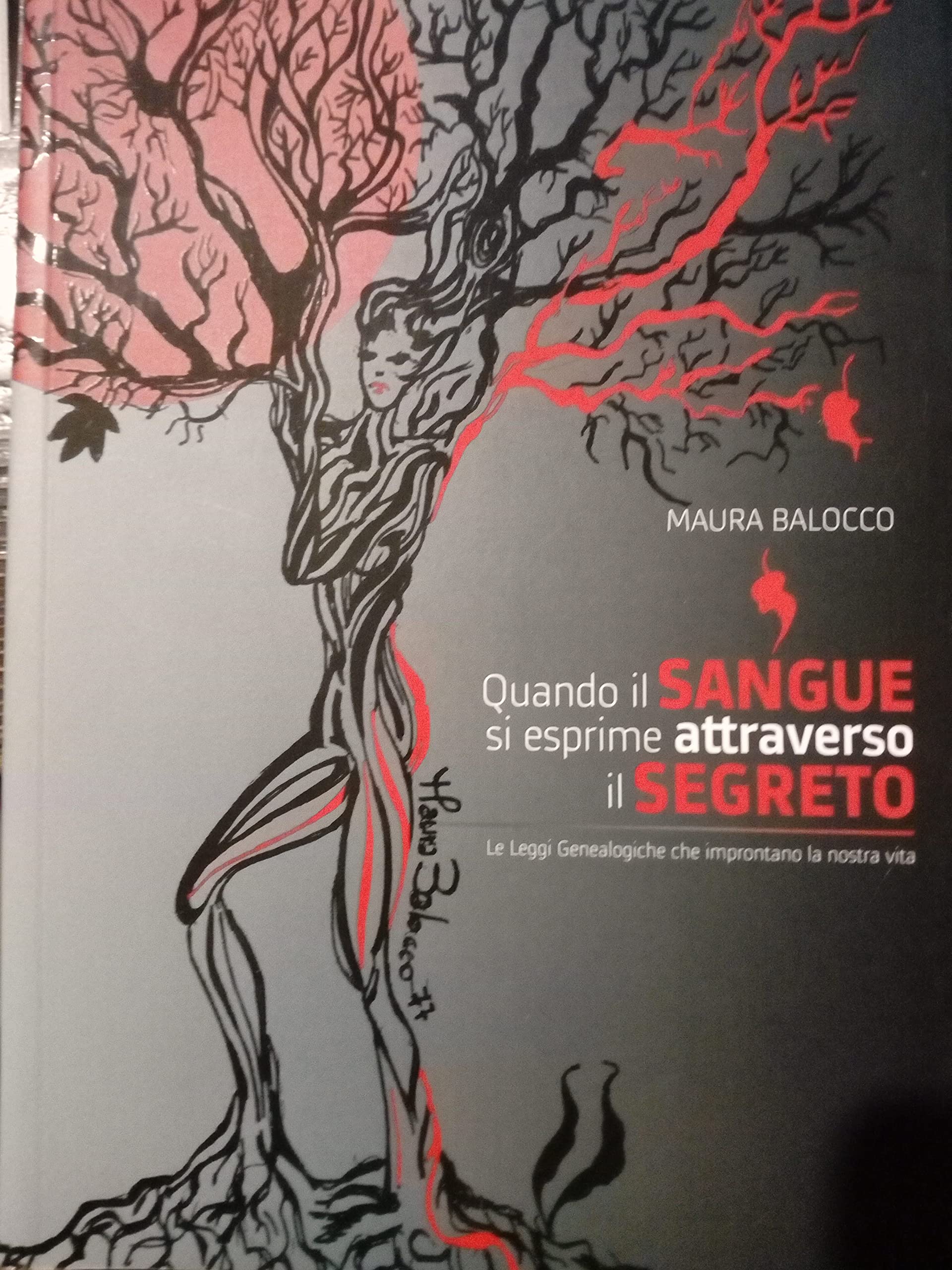 Quando il sangue si esprime attraverso il segreto. Le leggi genealogiche che improntano la nostra vita book
