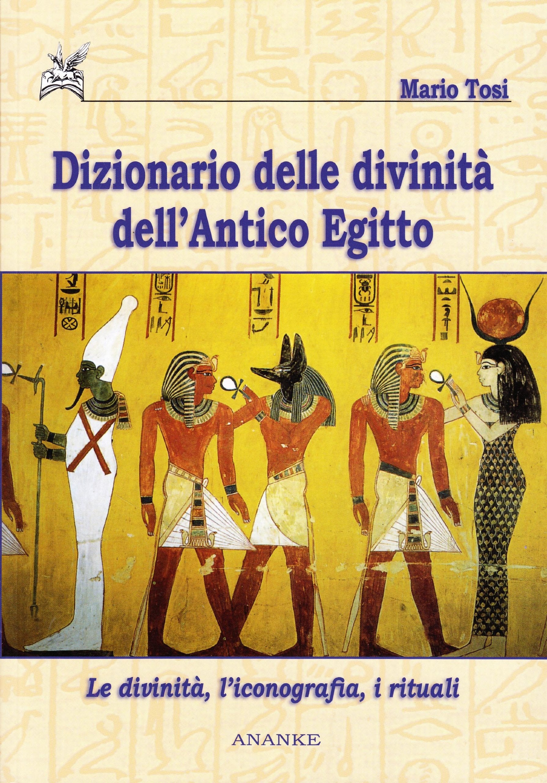 Dizionario delle divinità dell'antico Egitto. Le divinità, l'iconografia, i rituali book
