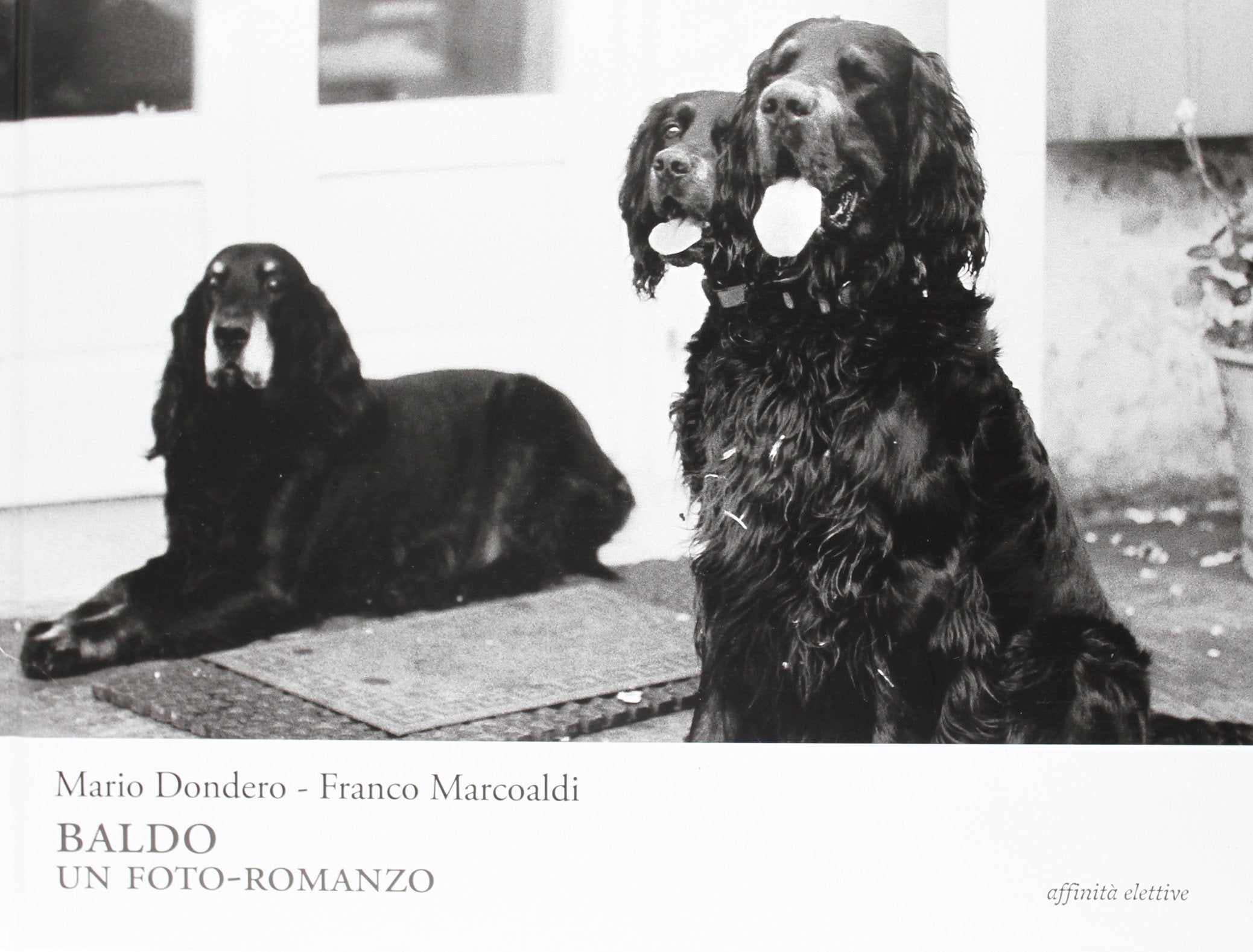 Baldo, un foto-romanzo. Ediz. illustrata book