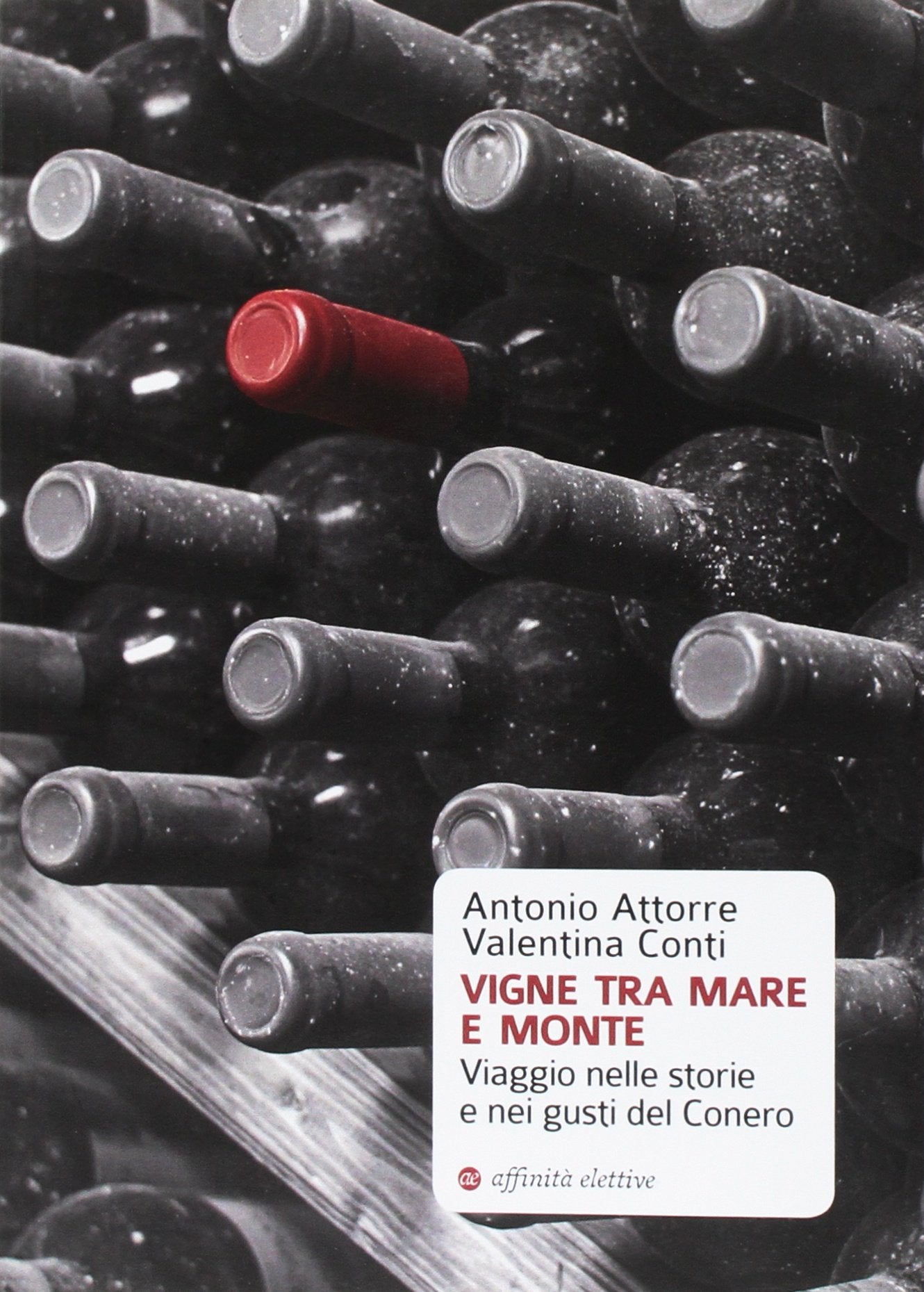 Vigne tra mare e monte. Viaggio nelle storie e nei gusti del Conero book