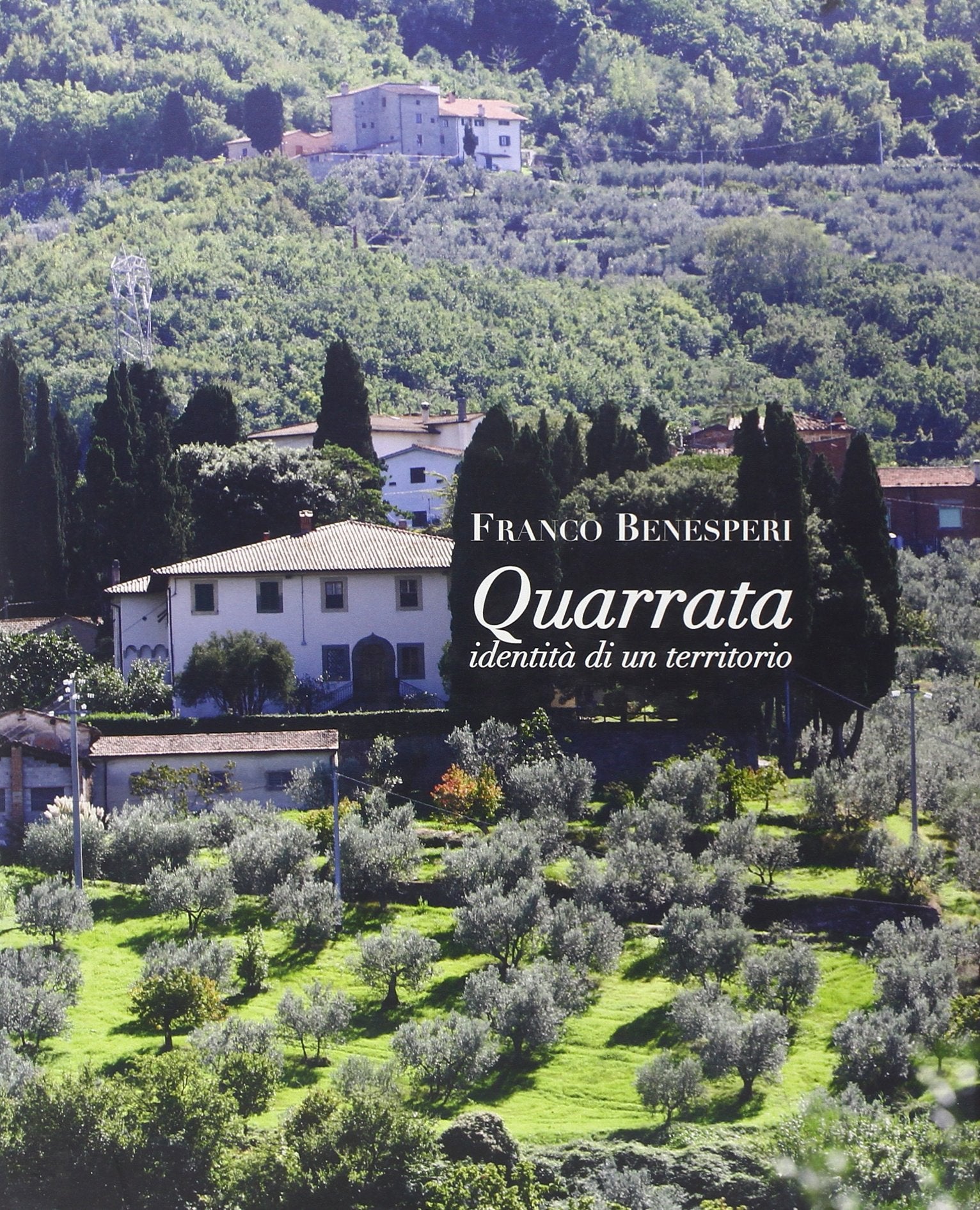 Quarrata, identità di un territorio book