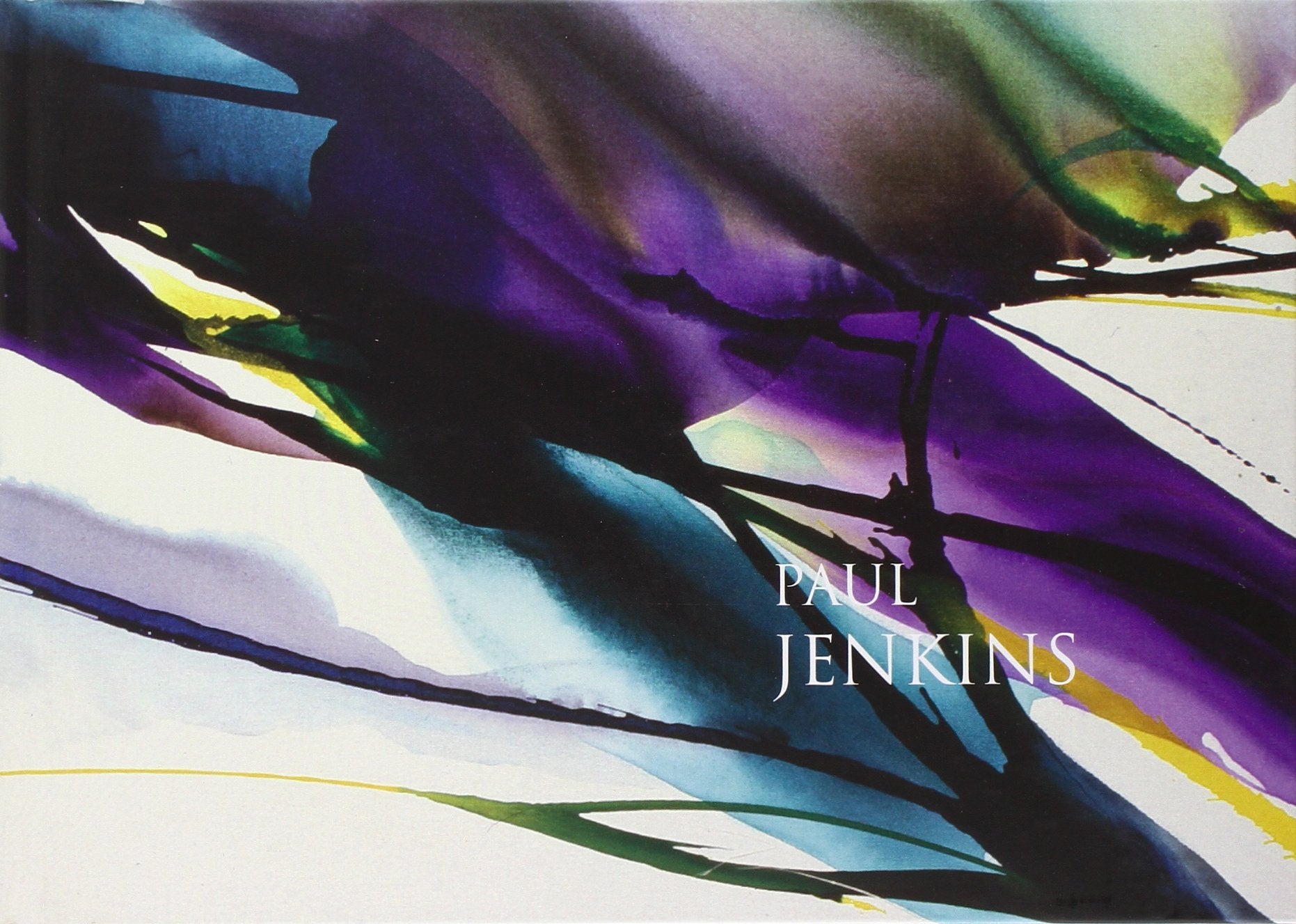 Paul Jenkins. La coscienza del tempo. Ediz. multilingue Film, Art & Culture