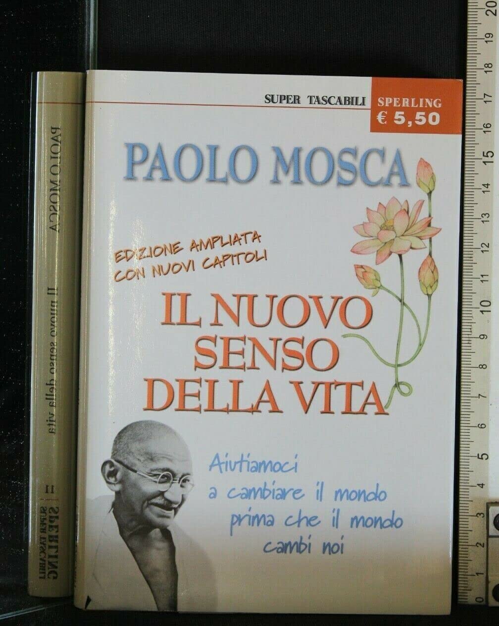 Il nuovo senso della vita (Super tascabili Sperling) Contemporary literature