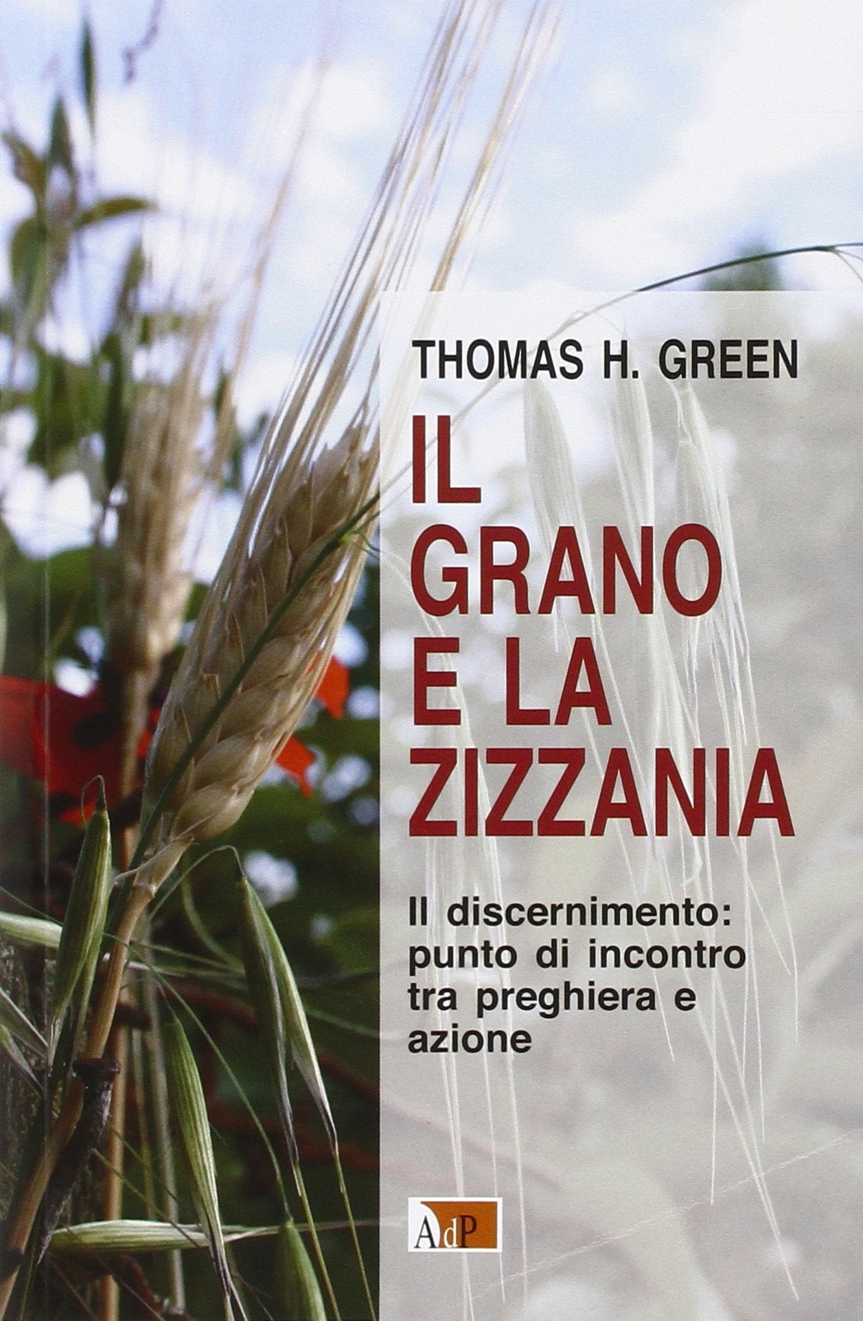 Il grano e la zizzania. Il discernimento: punto di incontro tra preghiera e azione book