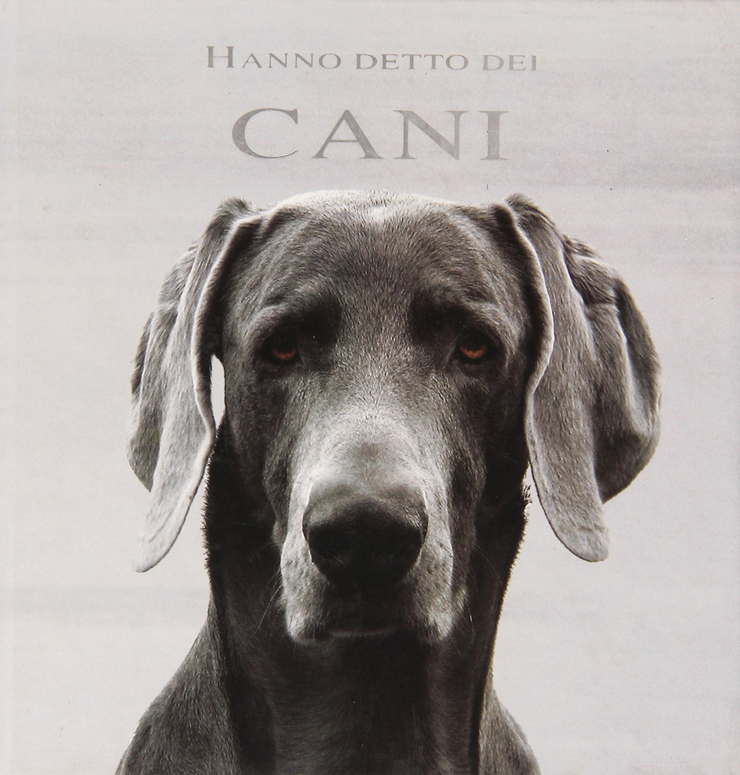 Hanno detto dei cani. Ediz. illustrata Lifestyle