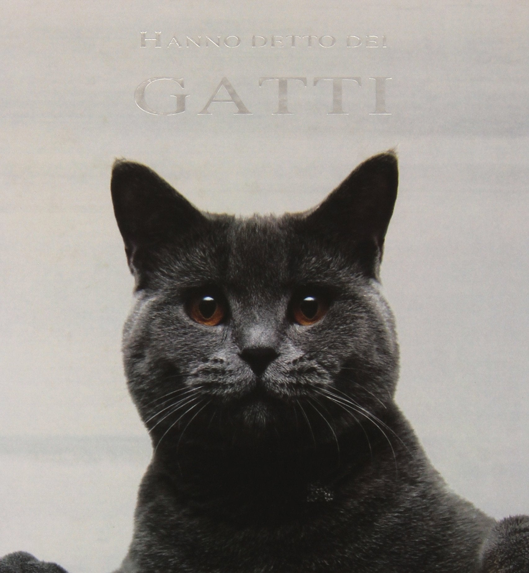 Hanno detto dei gatti. Ediz. illustrata Lifestyle