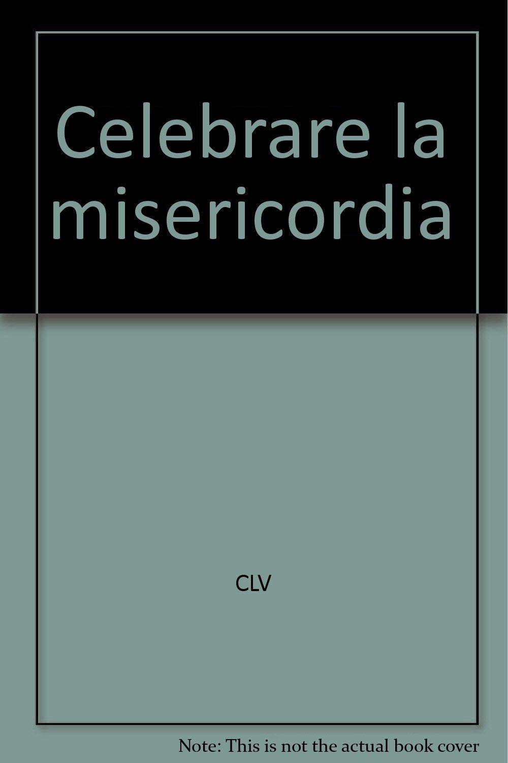 Celebrare la misericordia book