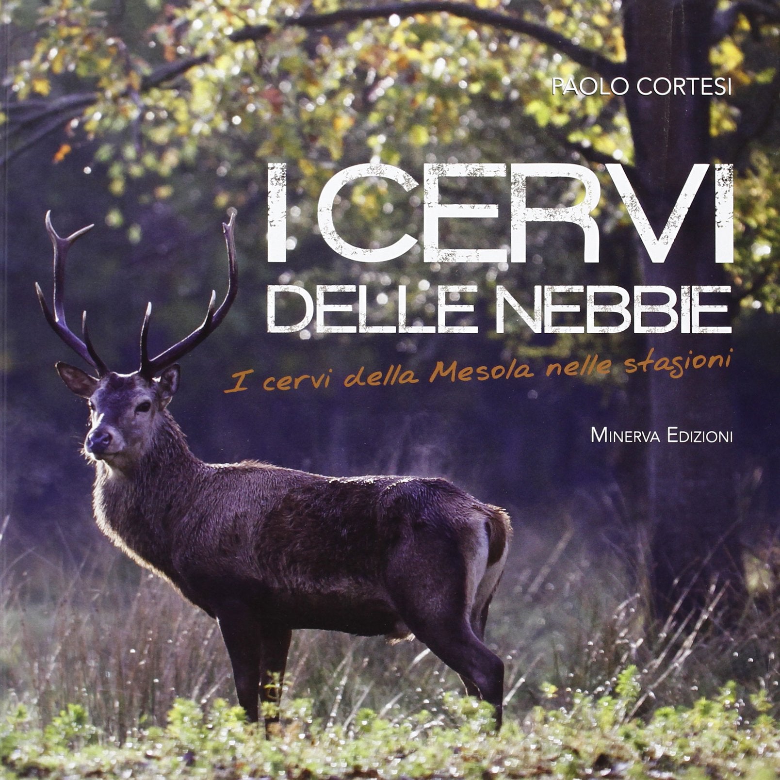 I cervi delle nebbie book